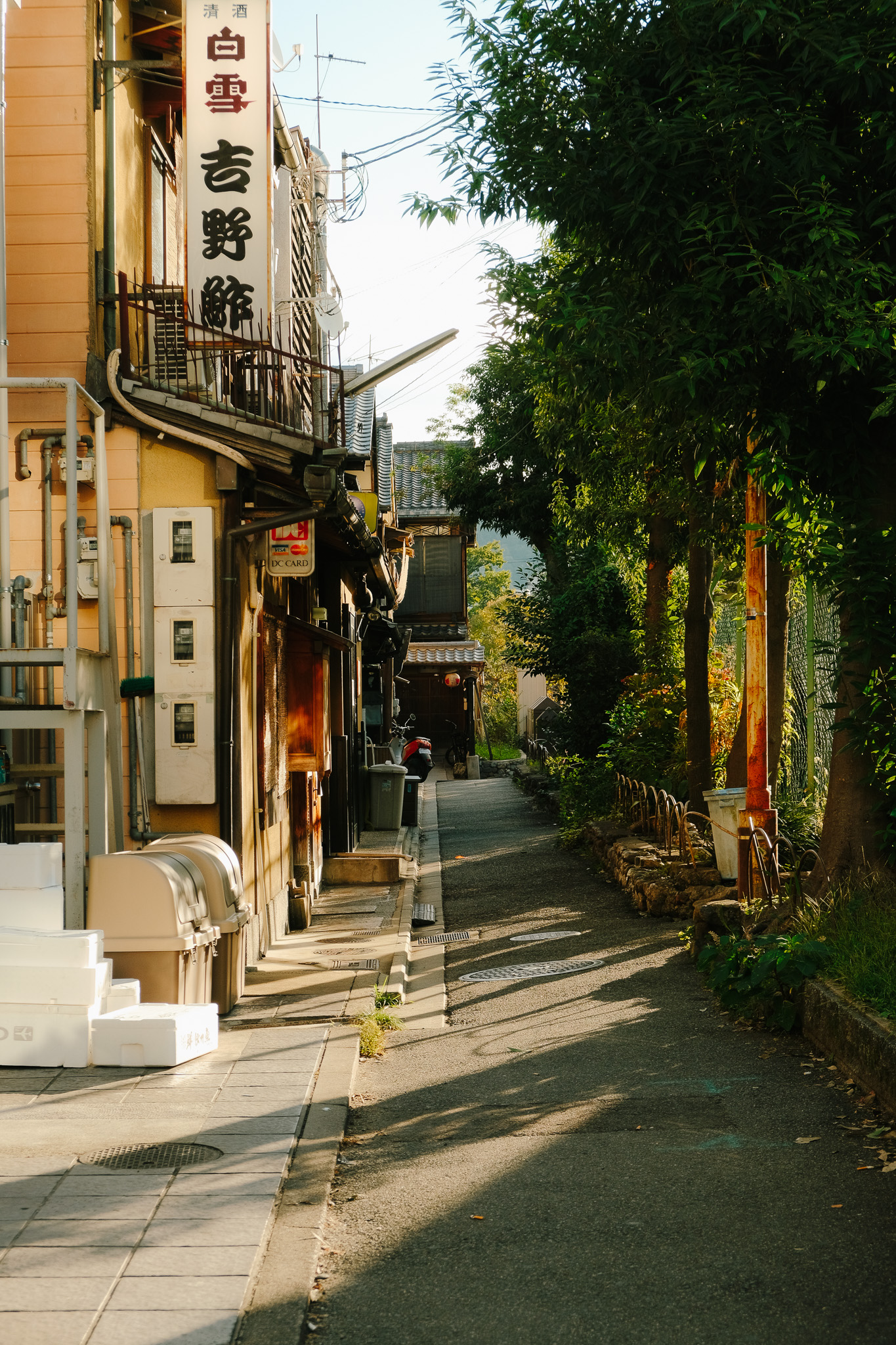 Sunlit narrow street in a Japanese neighborhood with trees on the right and shops on the left.
