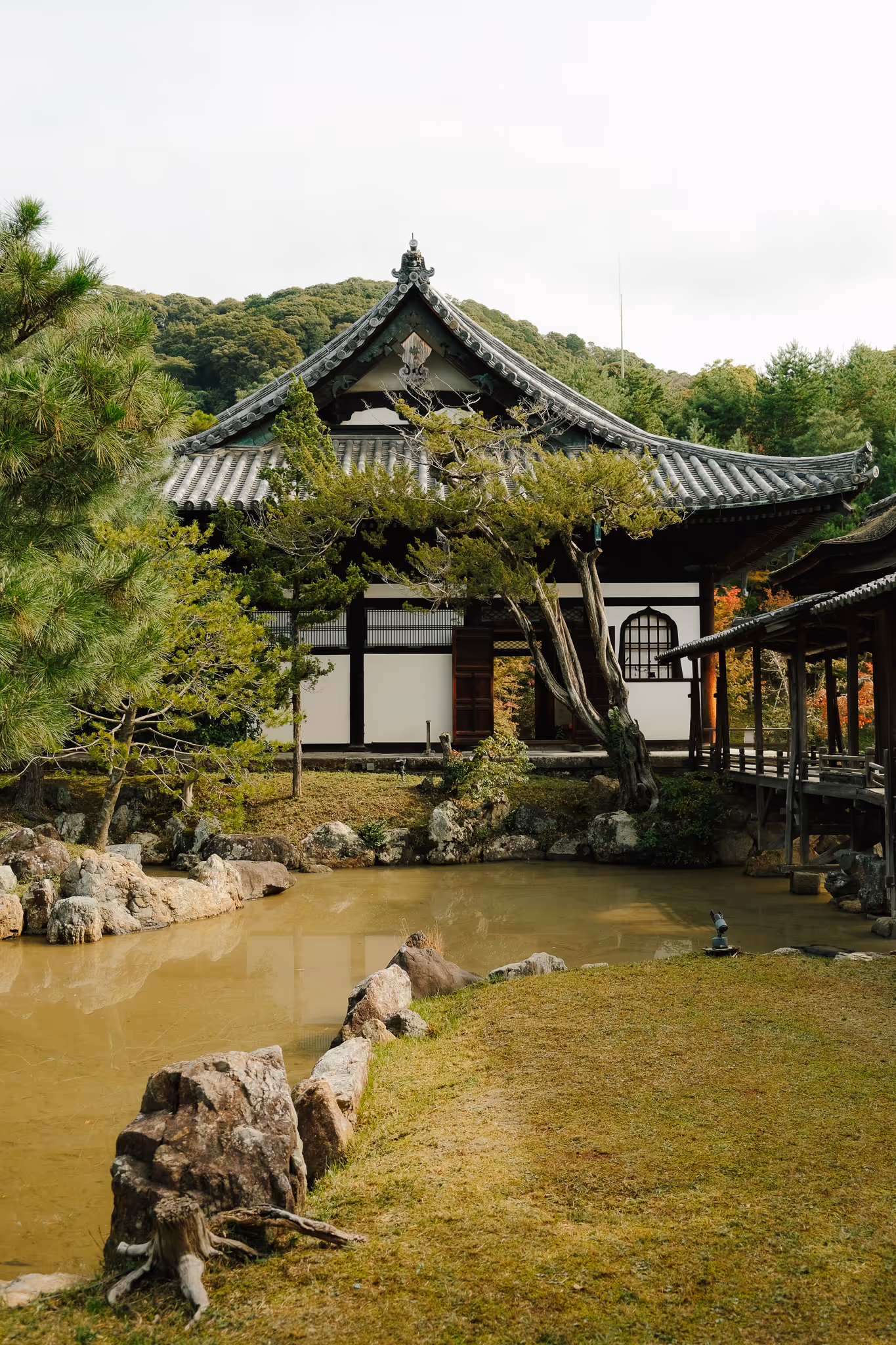 Traditional Japanese building with grey tiled roof by a pond surrounded by trees and rocks in a serene garden.