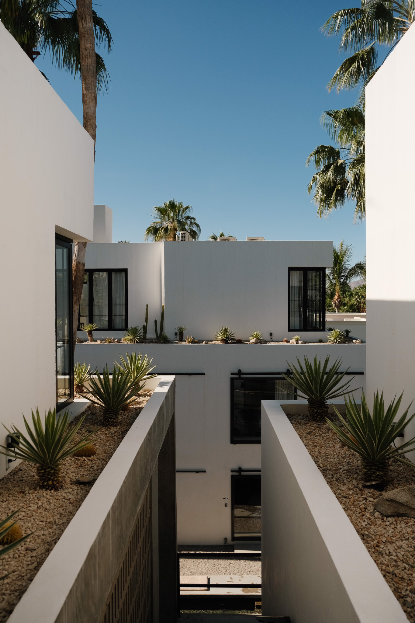 View through sheer curtains and open window to desert landscape with palm trees and rocky hills.
