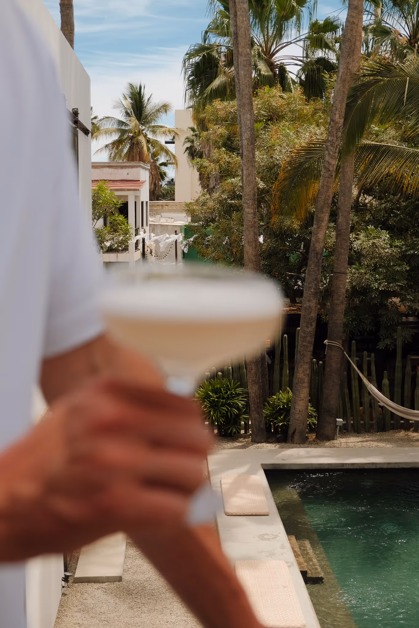 Person holding a cocktail glass near a poolside with palm trees and tropical plants in the background.