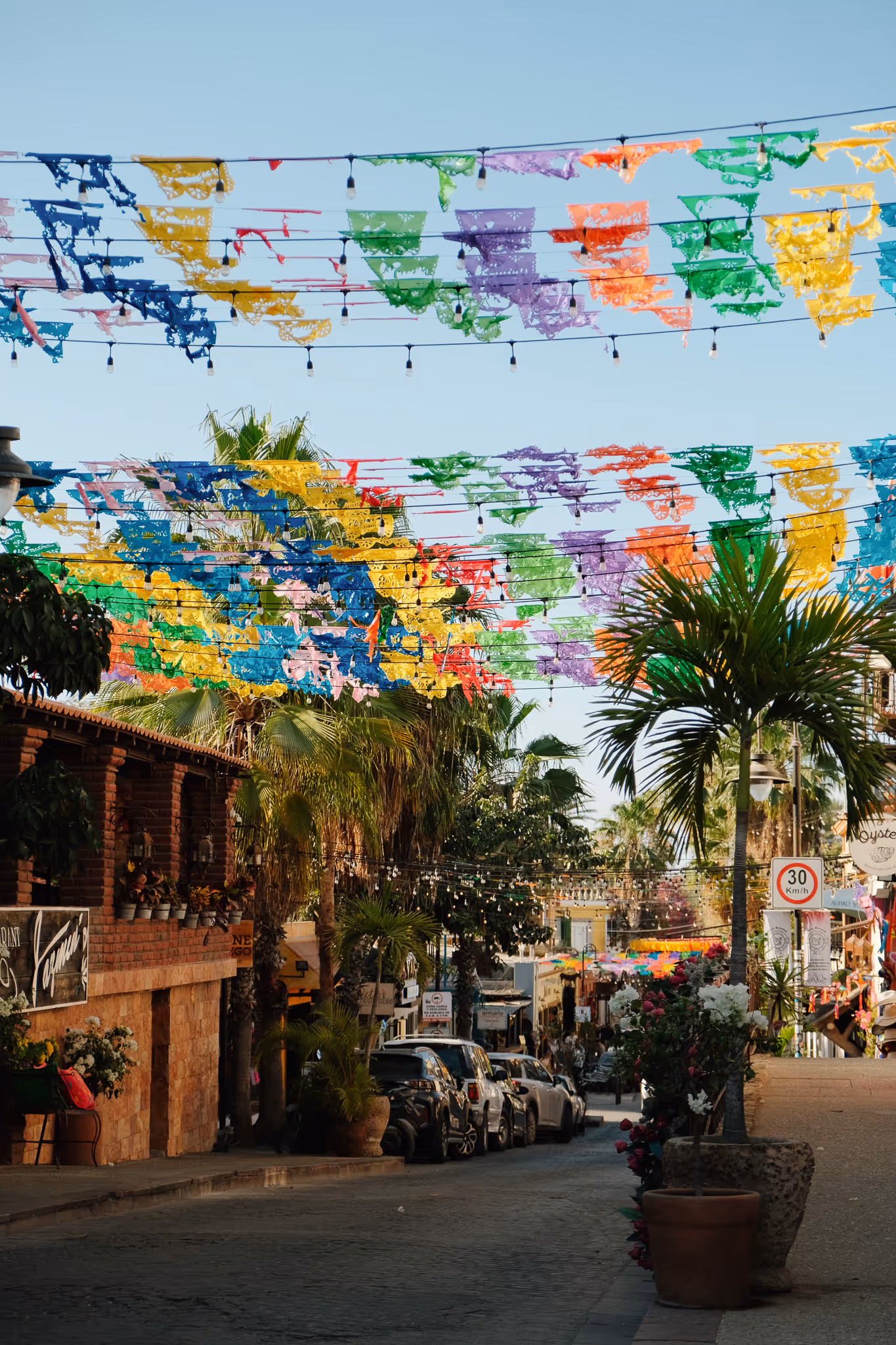 Street scene with parked cars, palm trees, colorful papel picado banners hanging overhead, and brick buildings under a clear sky.