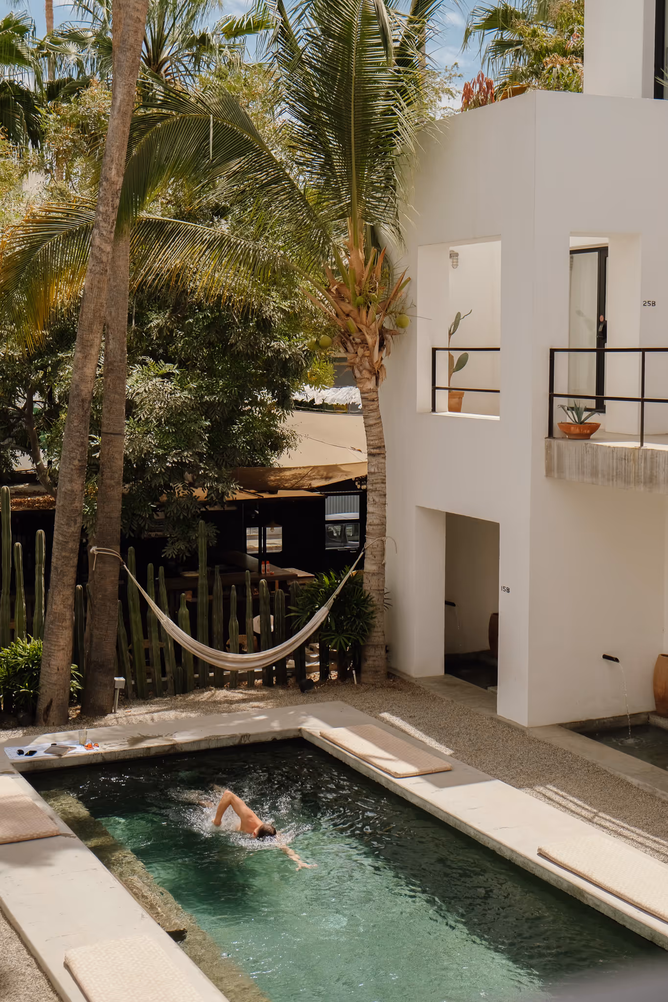 Man swimming freestyle in a pool surrounded by palm trees and a white modern building with hammocks nearby.