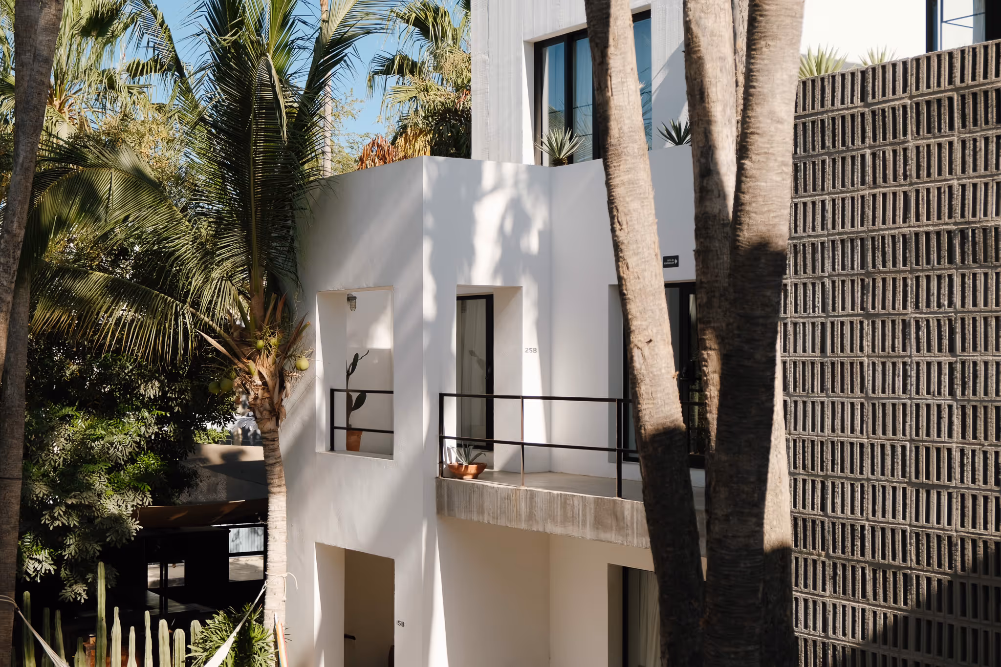 Modern white building balcony with potted plants and surrounding palm trees in sunlight.