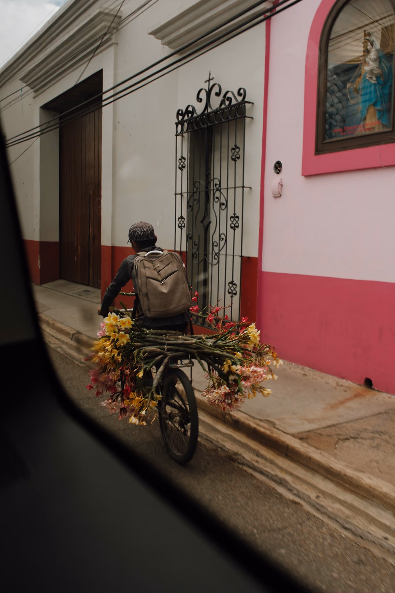 Person riding a bicycle carrying large colorful flower bundles on the back on a street.