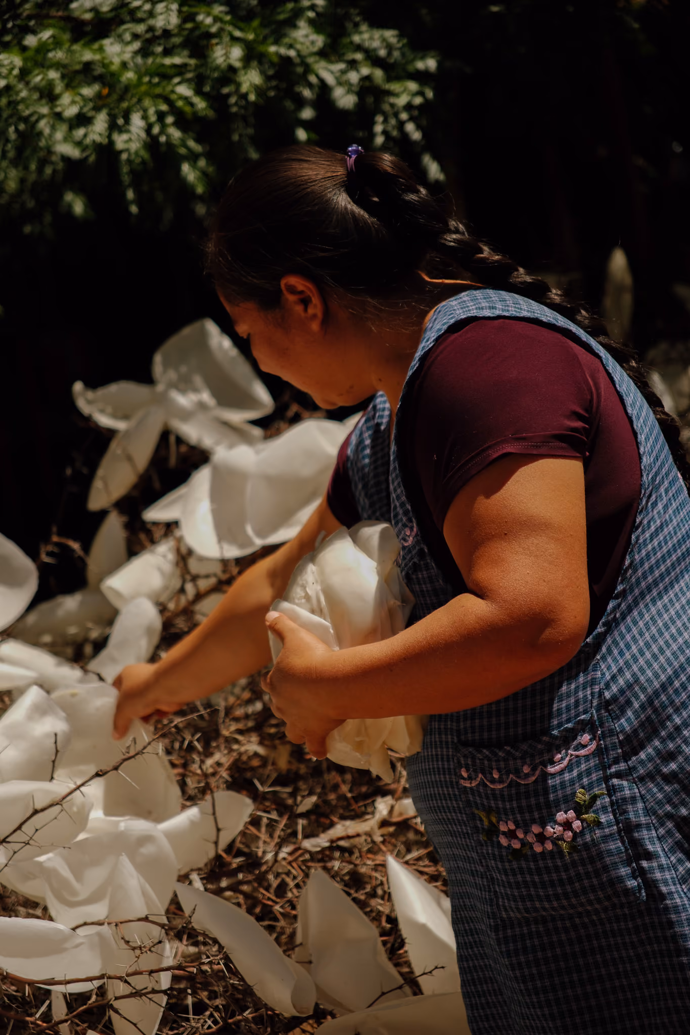 Woman holding and arranging large white flowers outdoors, wearing a checked apron with embroidery.