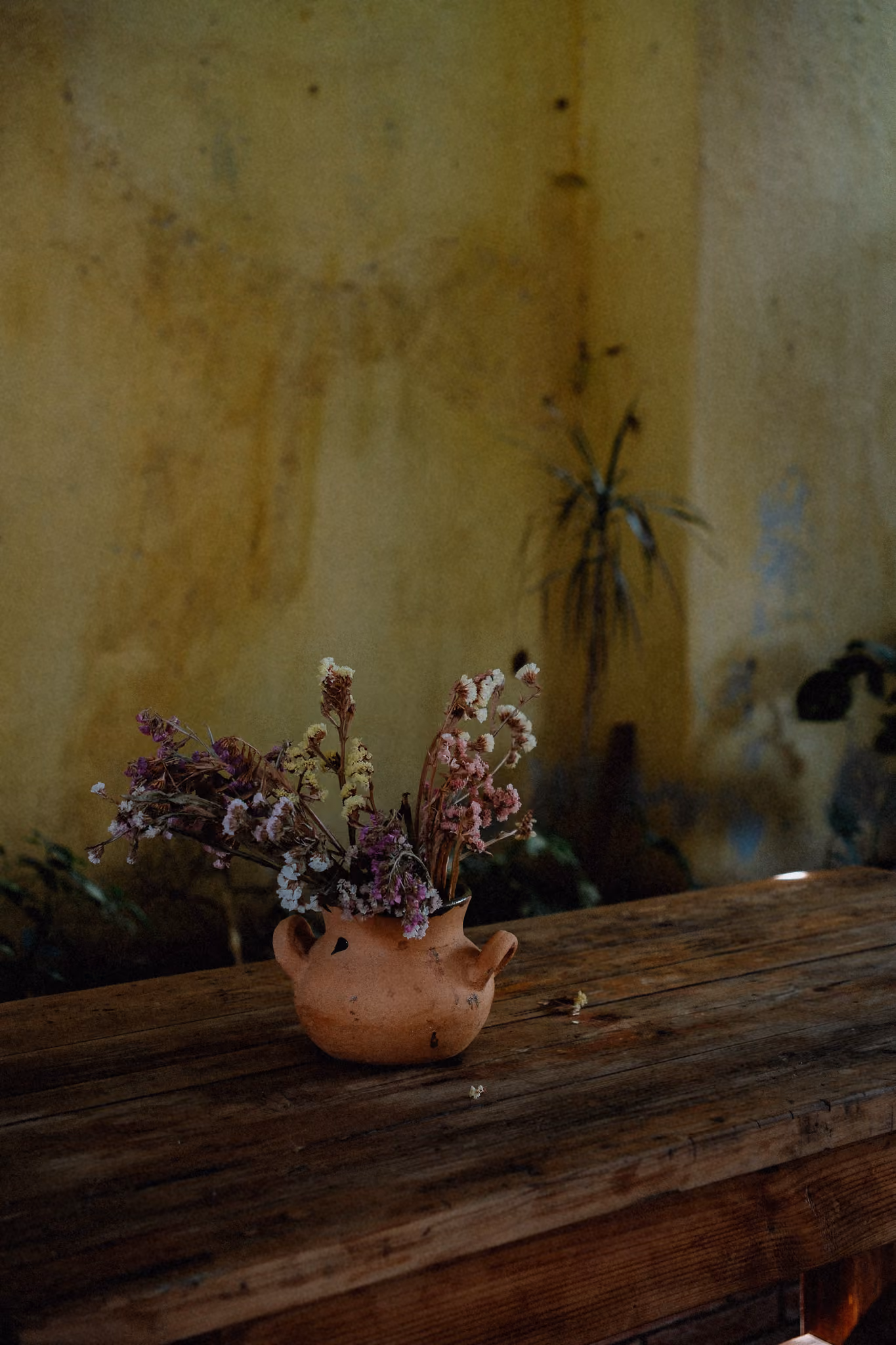 Terracotta vase with dried flowers on a rustic wooden table against a textured yellow wall.