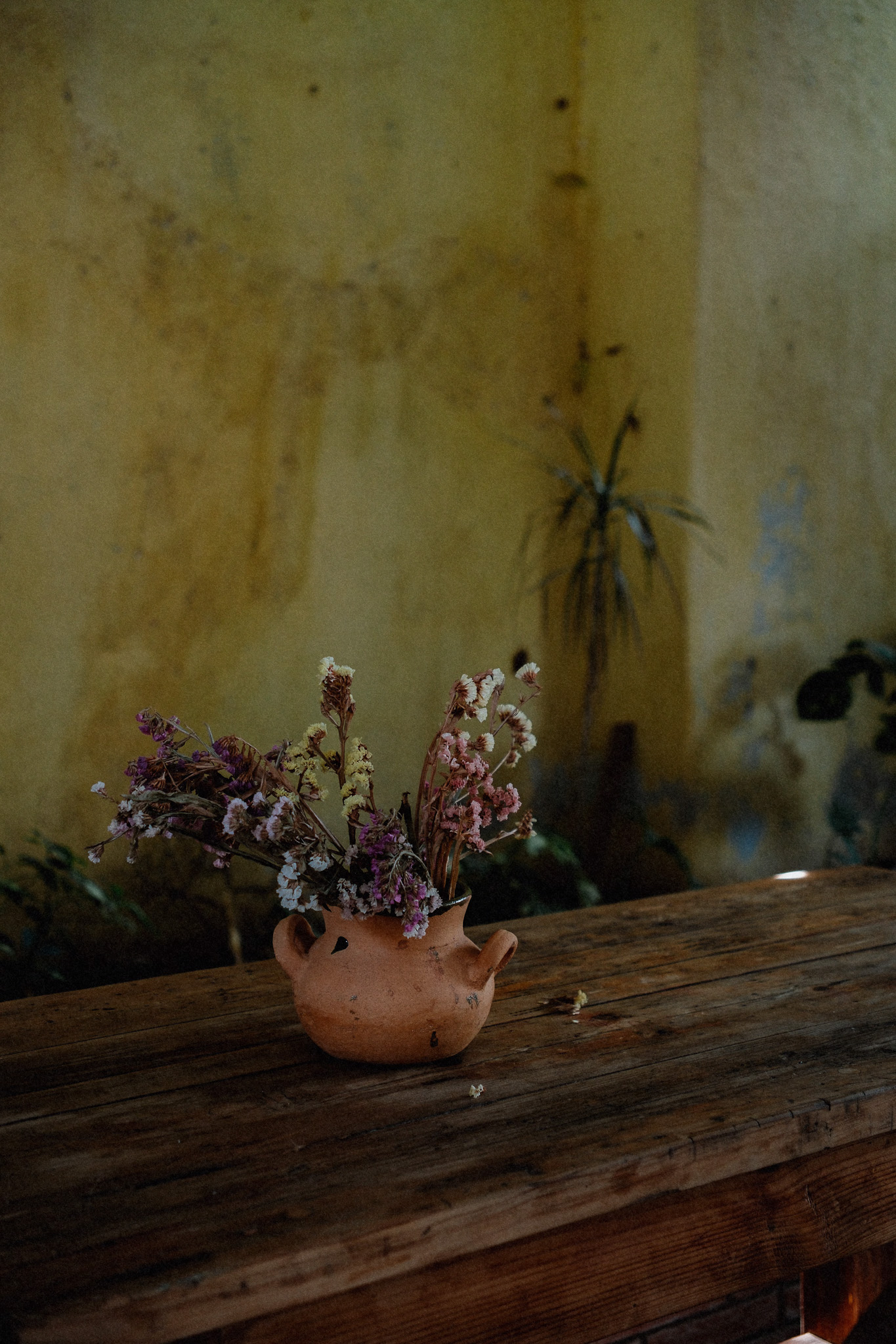 Terracotta vase with dried flowers on a rustic wooden table against a textured yellow wall.