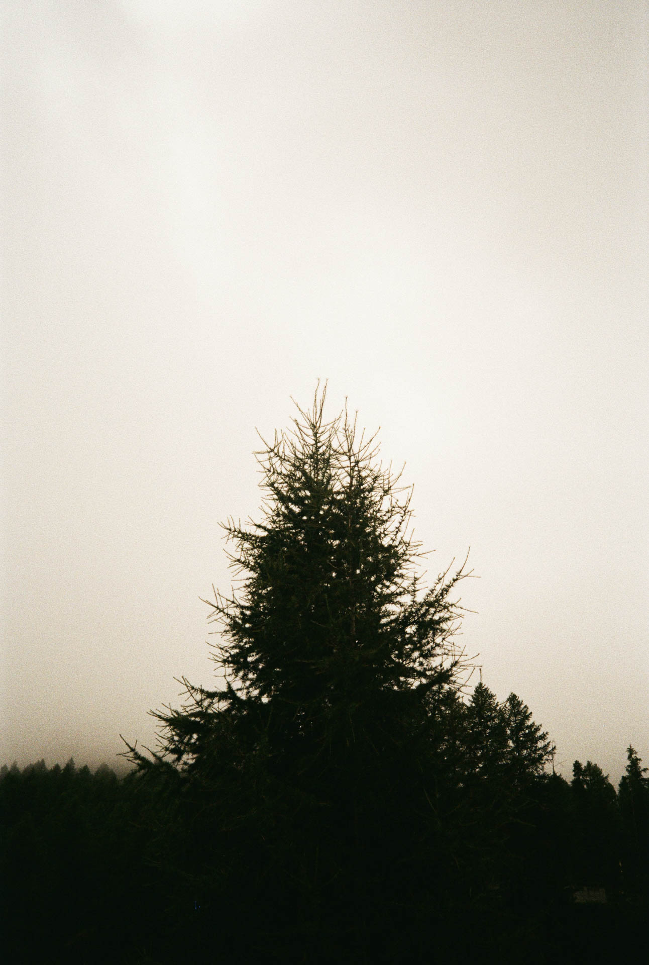 image of community gathering at the department store