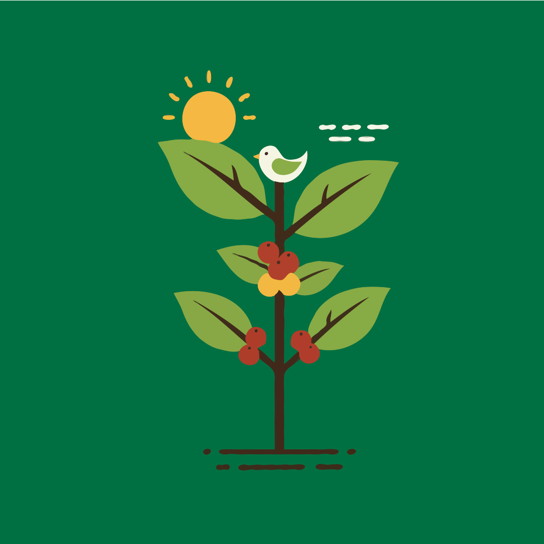 Café y sostenibilidad 