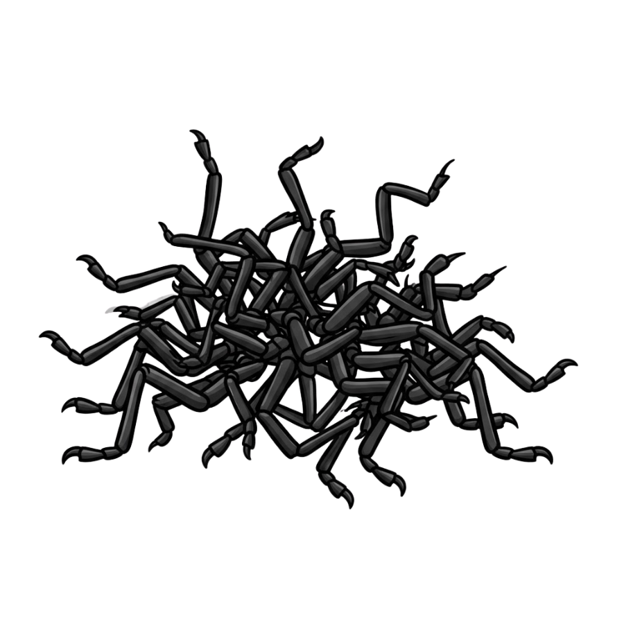 The number of legs they have