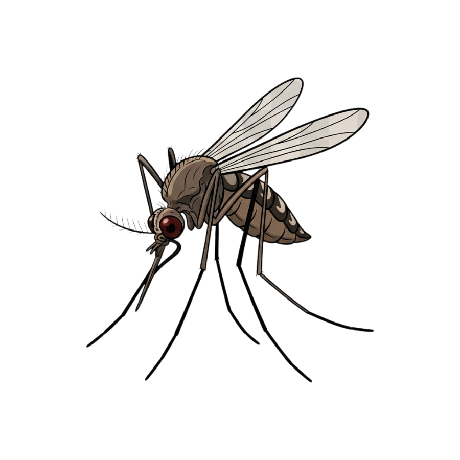 Prehistoric Mosquito