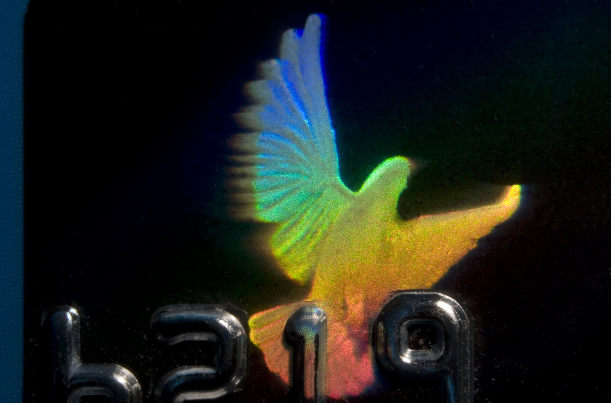 A white light "Rainbow" transmission hologram of a dove ("Visa Dove Hologram Rainbow" by Dominic Alves / CC BY 2.0 via Flickr)