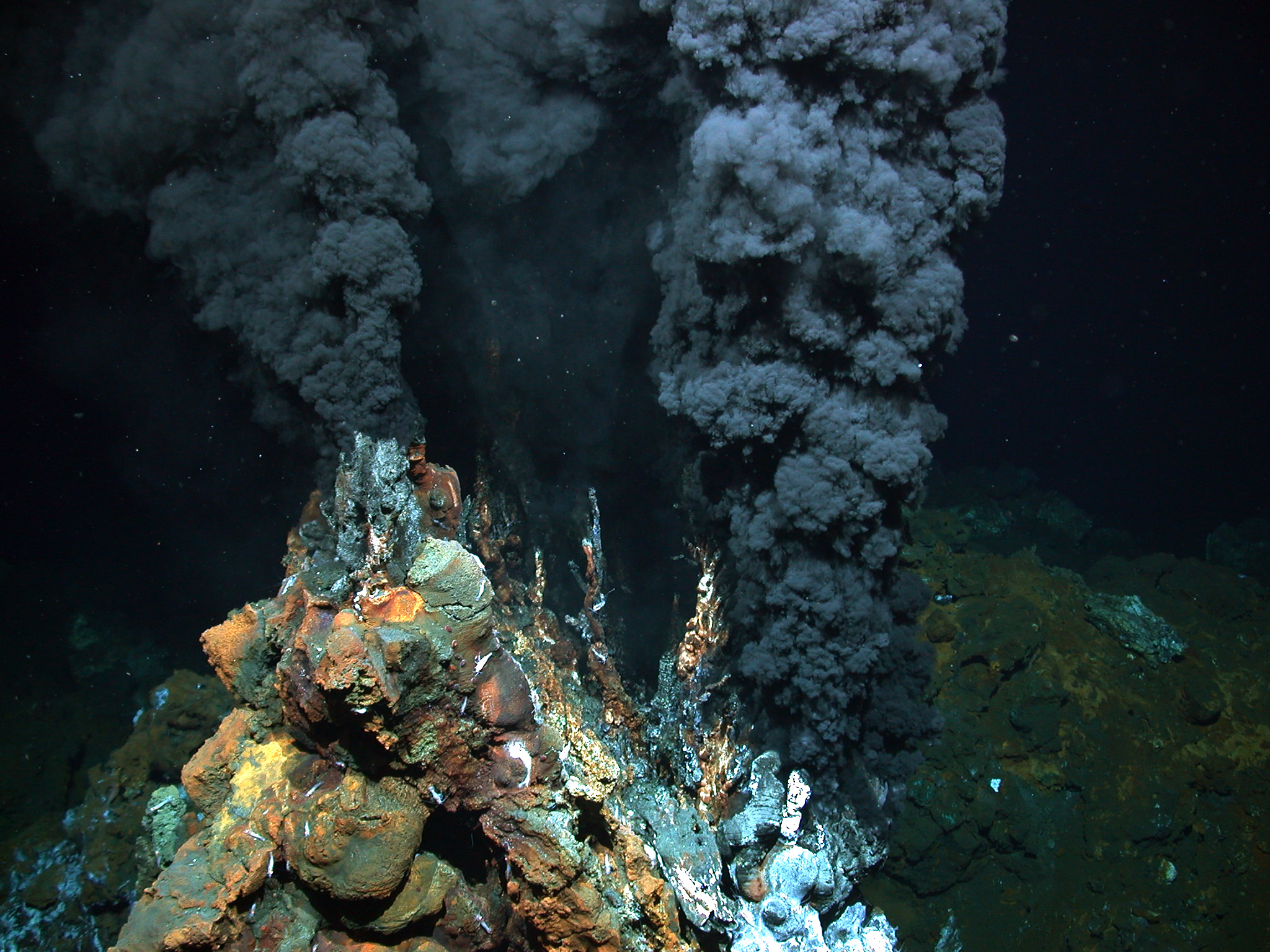 A kind of hydrothermal vent called a black smoker on the Mid-Atlantic Ridge. At deep-sea vents, microbes can use chemicals instead of sunlight to power entire ecosystems in the dark ("MARUM-HTQ-01-HiRes" by MARUM / CC BY 4.0 via Wikimedia Commons)