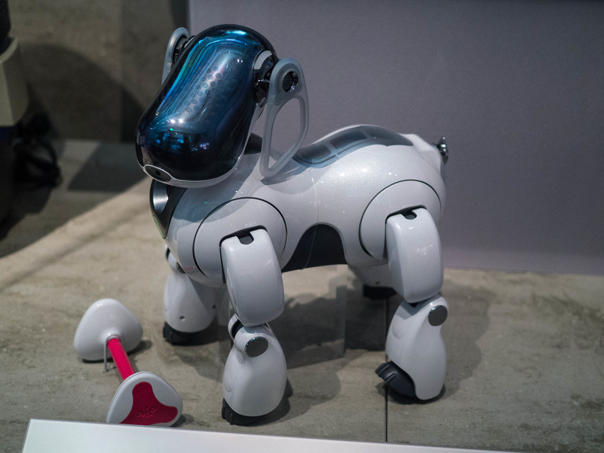 An early verson of AIBO, Sony's robotic dog ("AIBO" by James Maskell / CC BY-NC-SA 2.0 via Flickr)