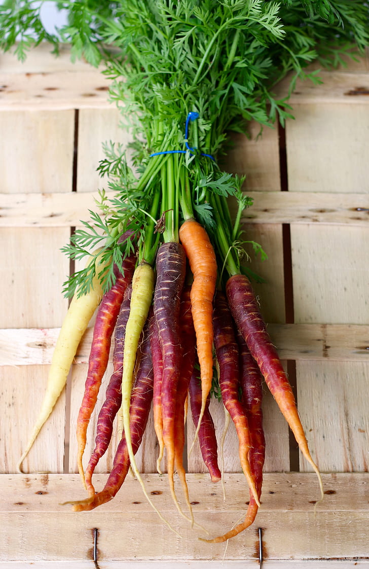Colorful purple and yellow carrots
