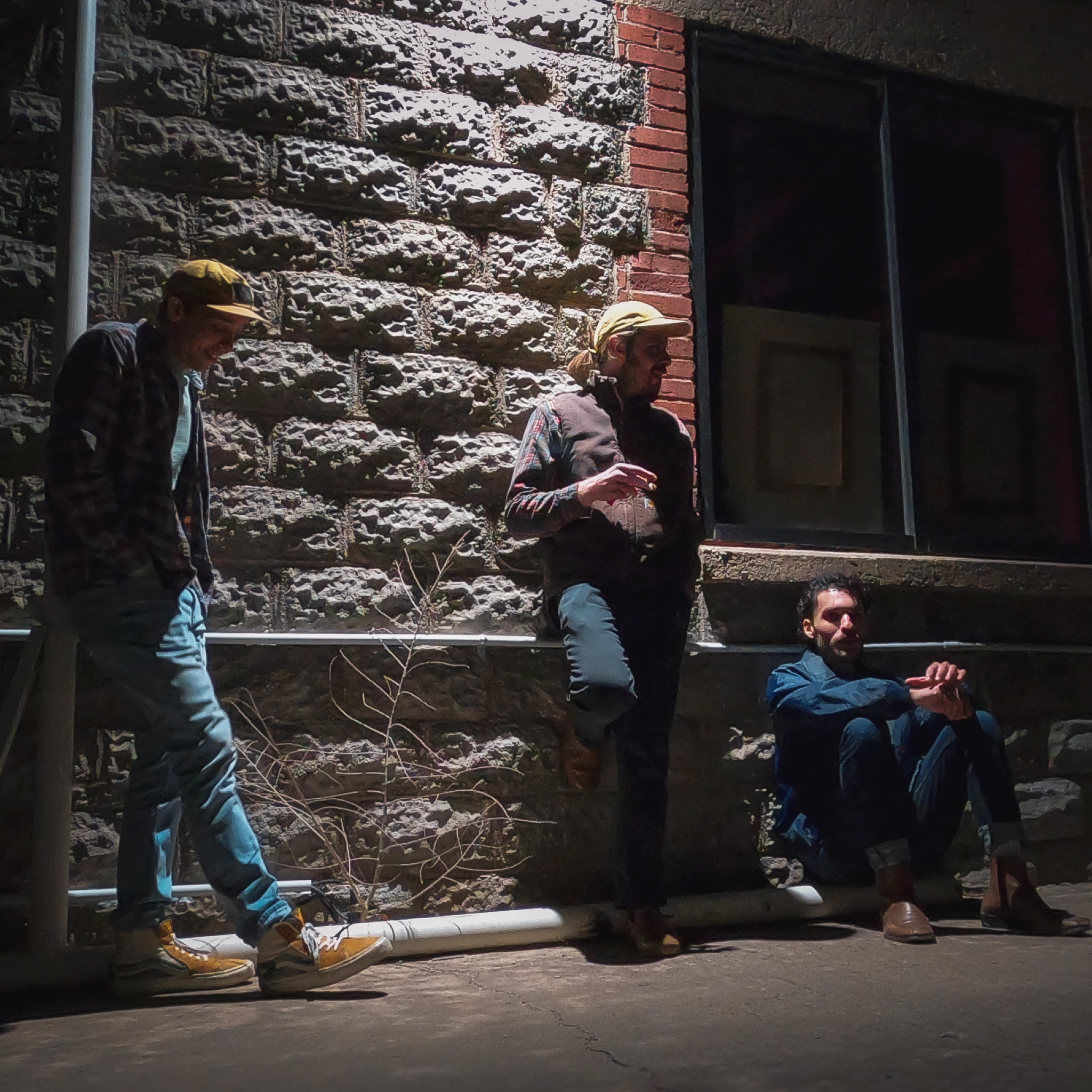 image of a concert crowd