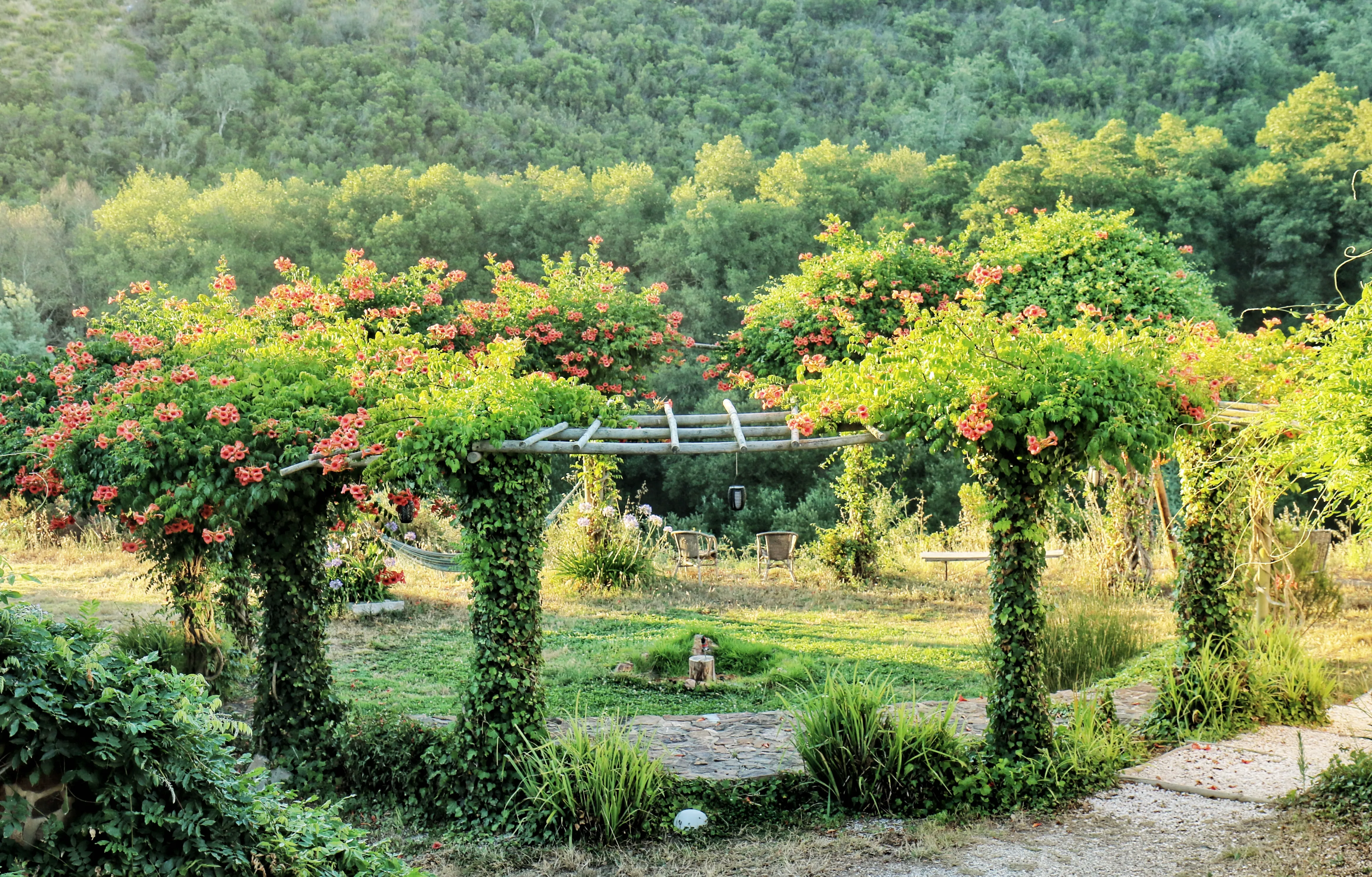 Beautiful mediterrenean nature