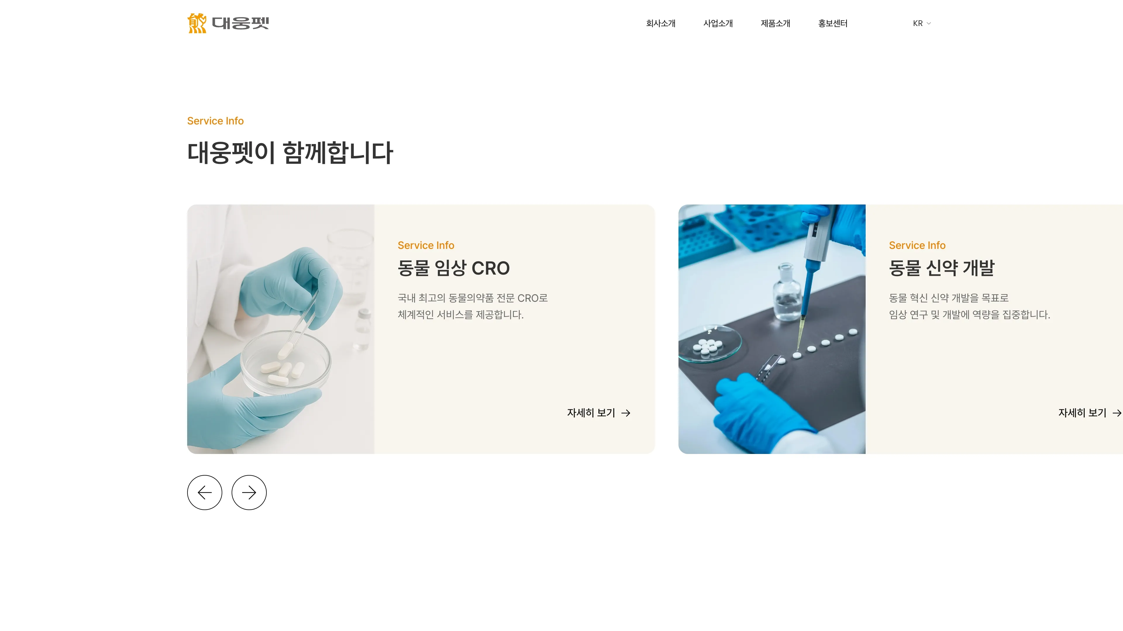 대웅펫 포트폴리오 - 노코드웹 스튜디오 웹플로우