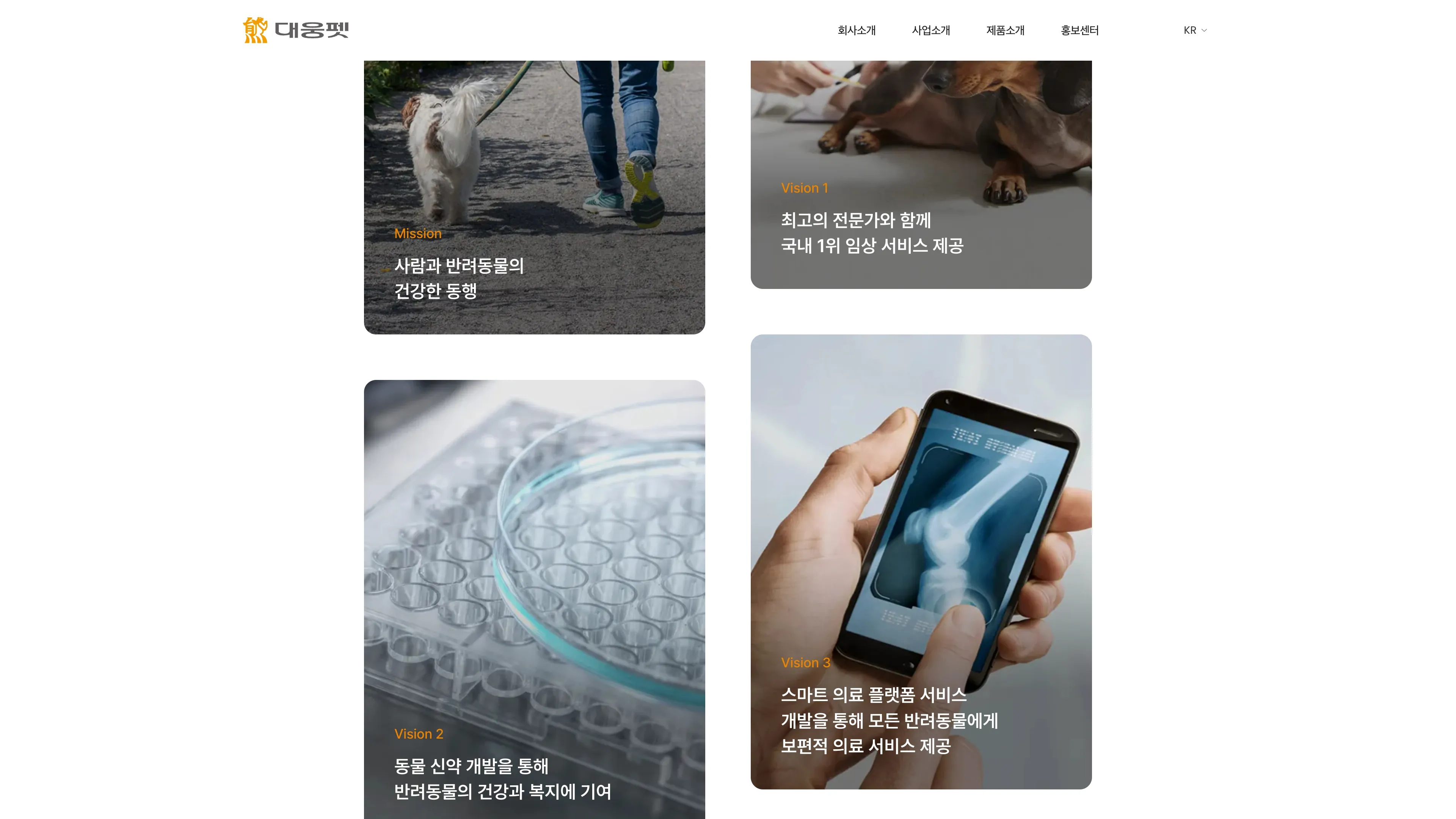 대웅펫 포트폴리오 - 노코드웹 스튜디오 웹플로우
