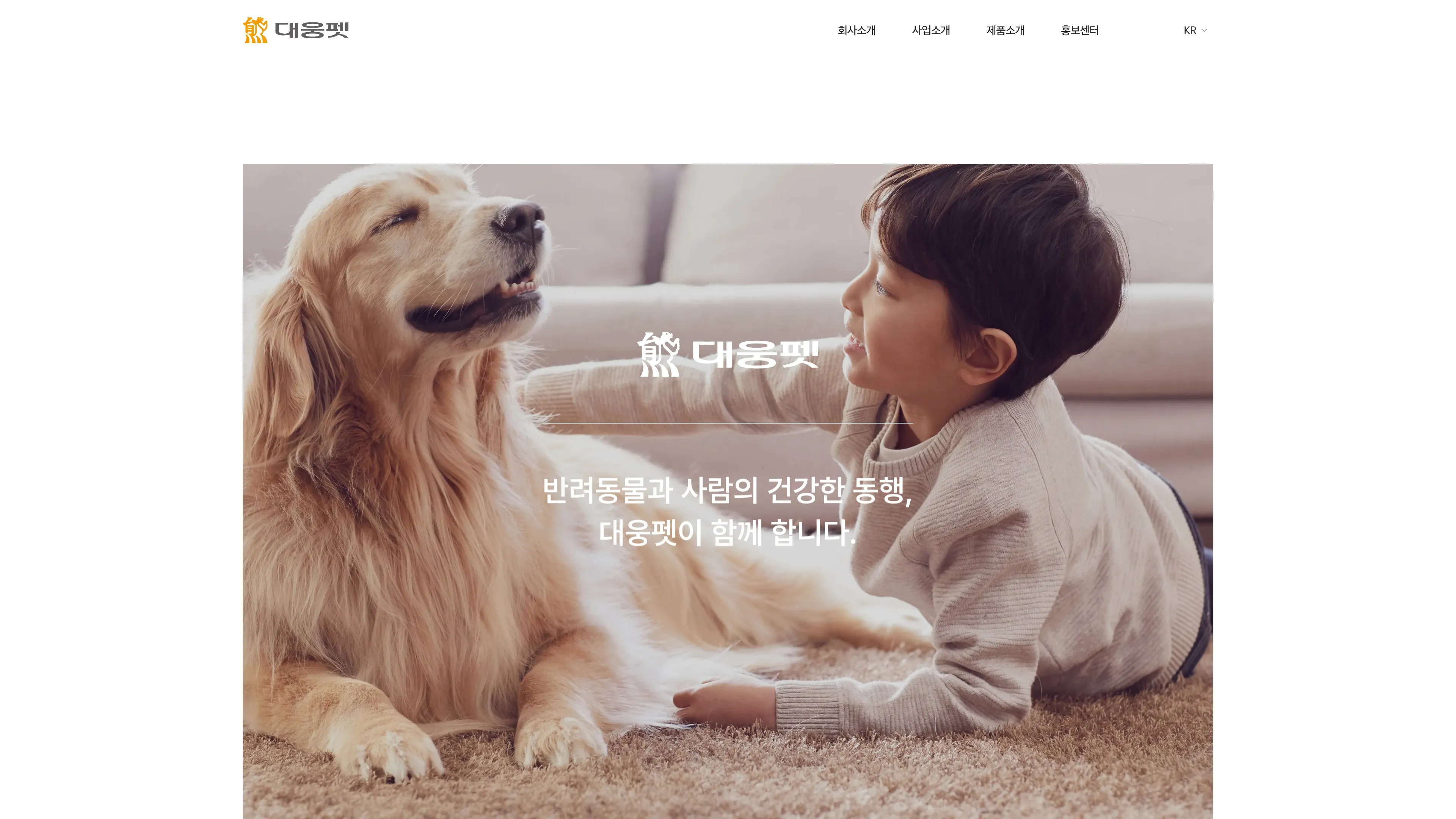 대웅펫 포트폴리오 - 노코드웹 스튜디오 웹플로우