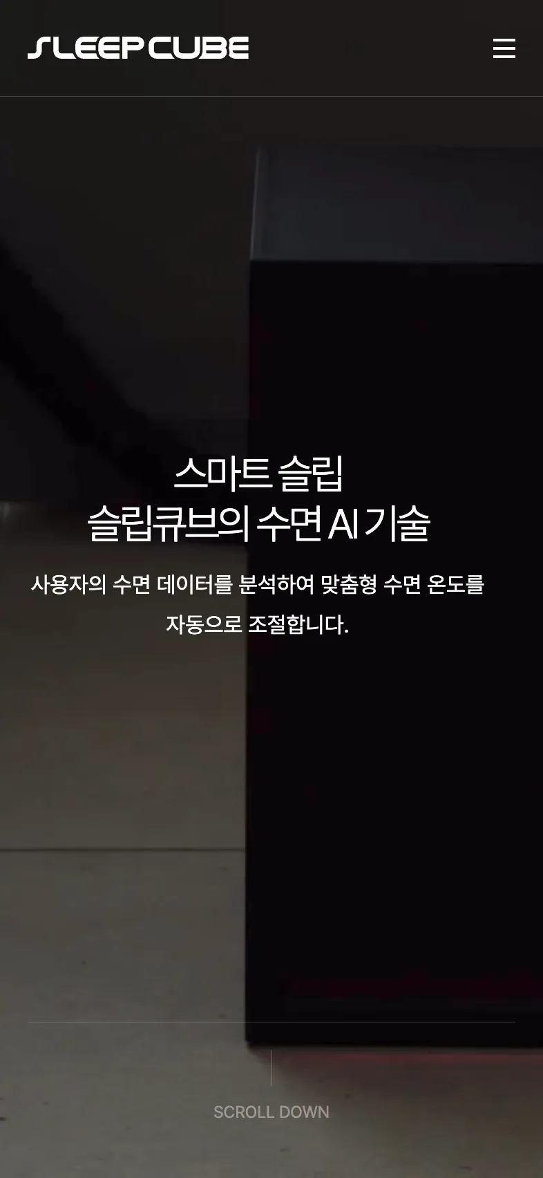 삼분의일 포트폴리오 - 노코드웹 스튜디오 웹플로우