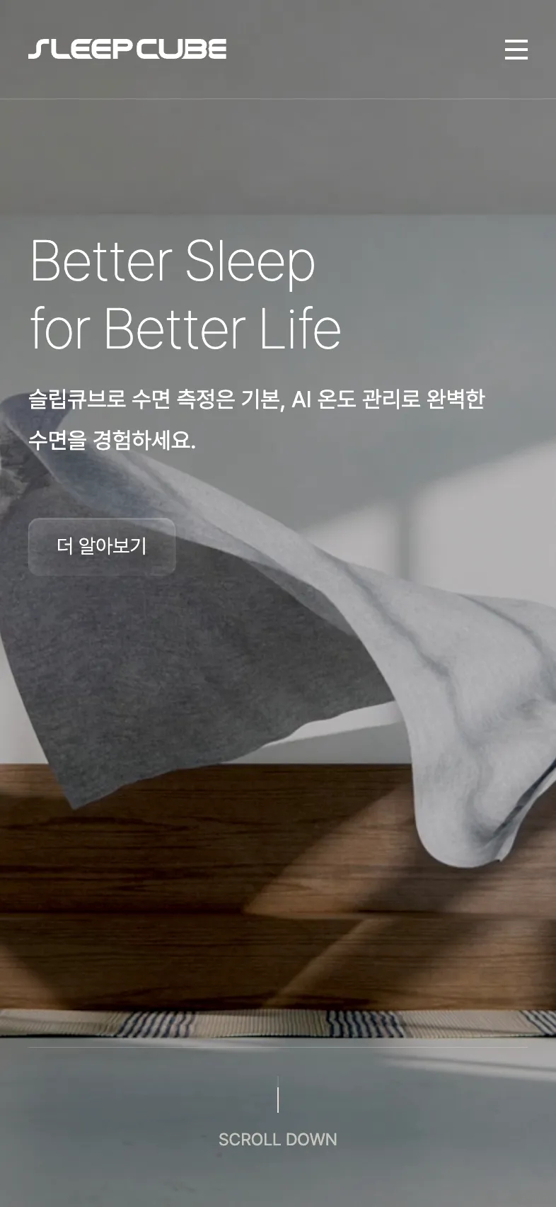 삼분의일 포트폴리오 - 노코드웹 스튜디오 웹플로우