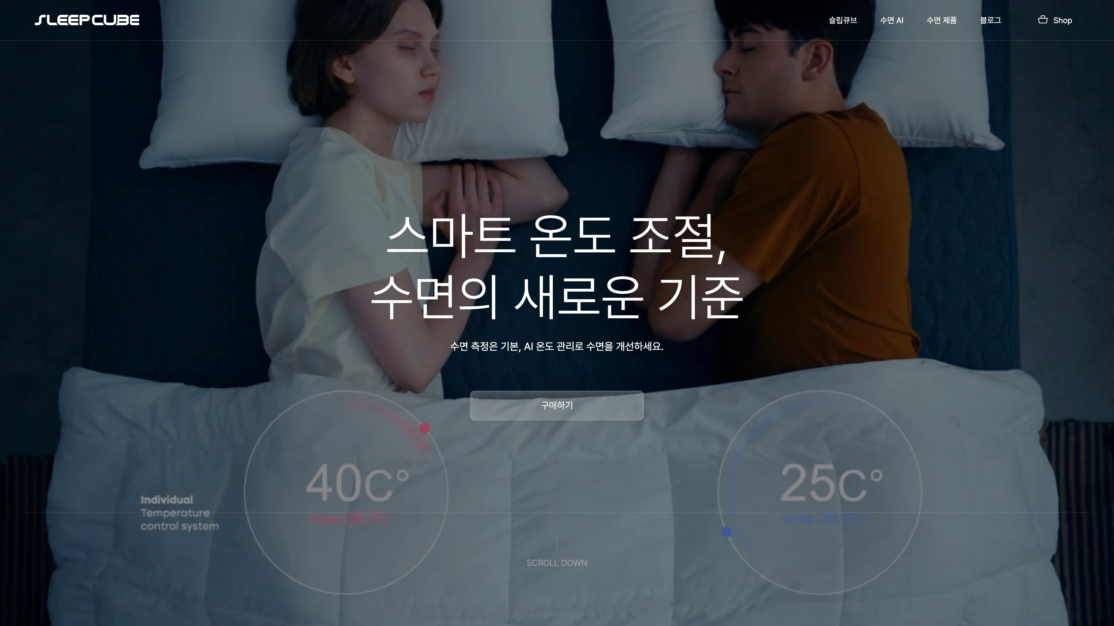 삼분의일 포트폴리오 - 노코드웹 스튜디오 웹플로우
