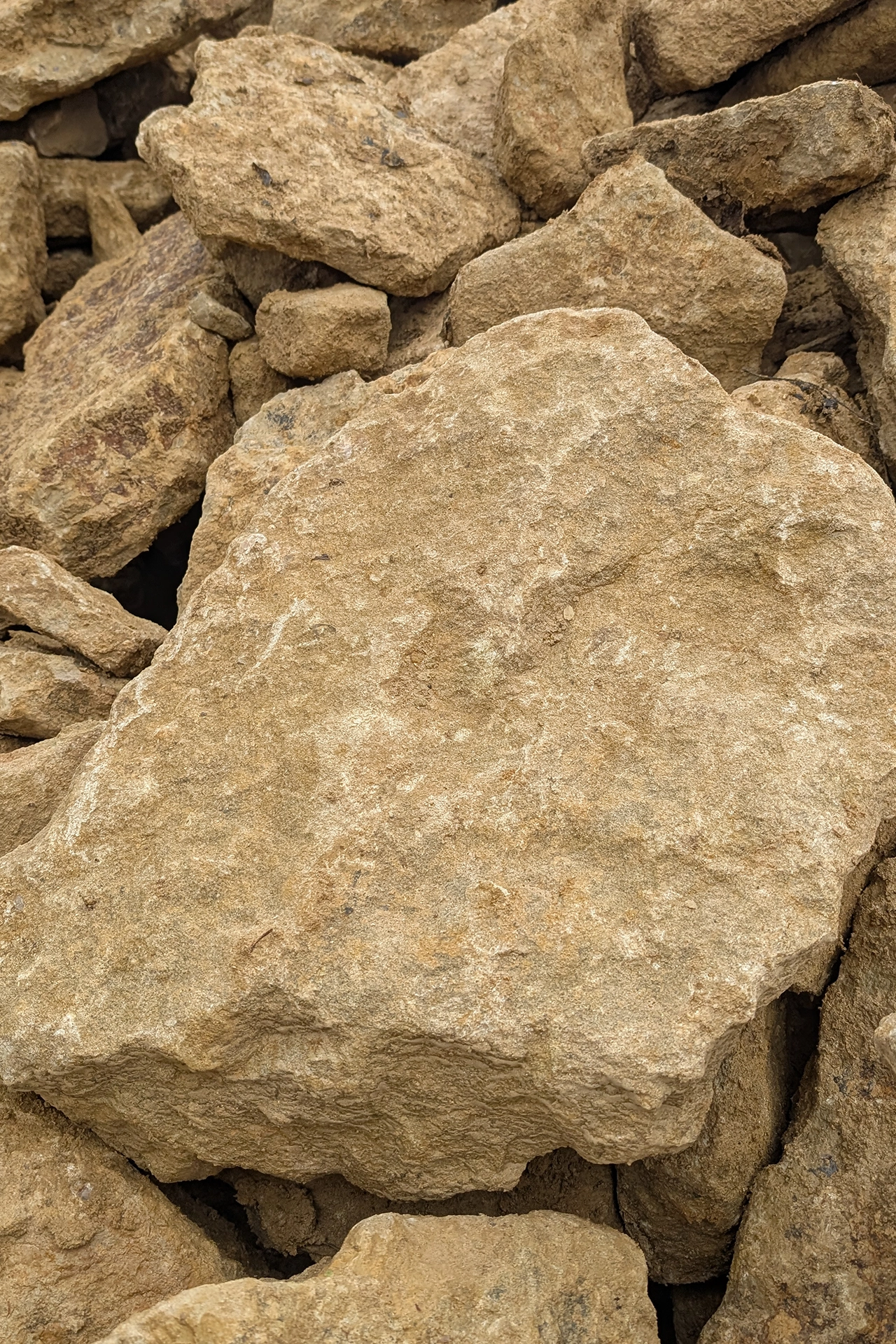A limestone boulder suitable for garden rockeries and feature stone
