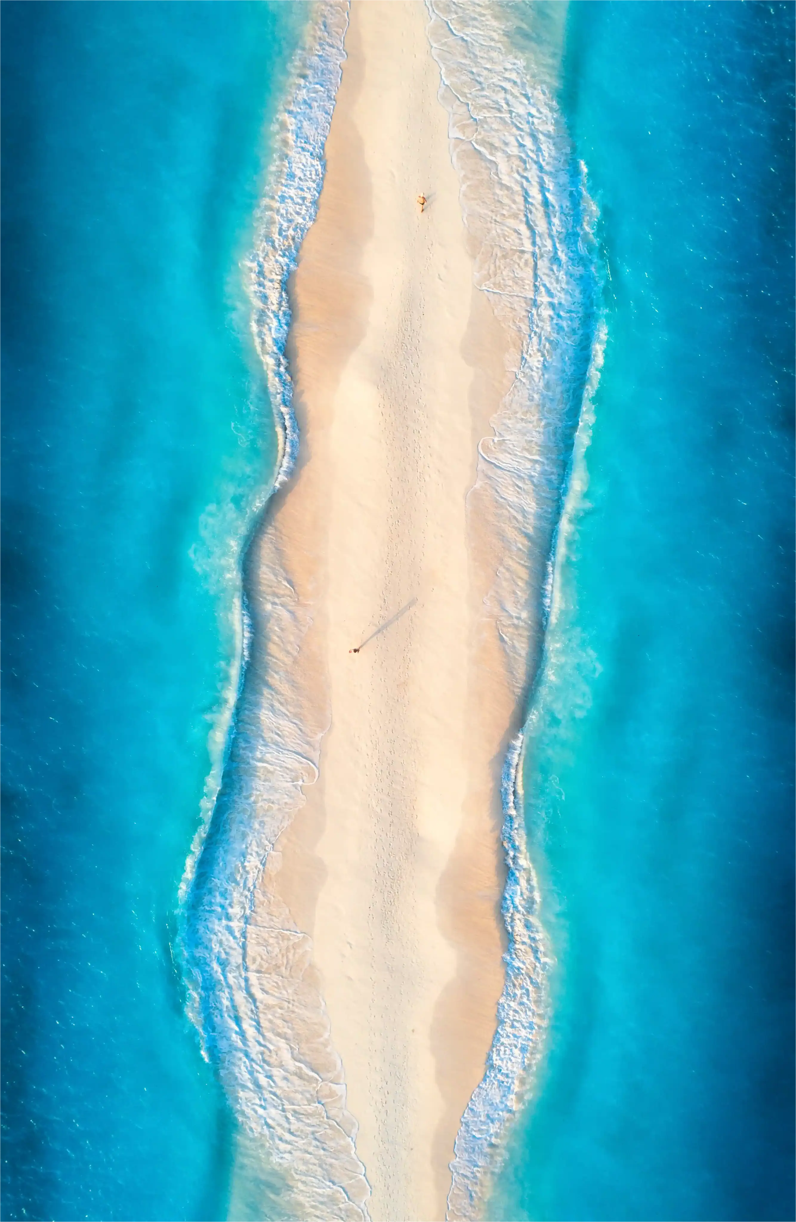 aerial view of beach in Zanzibar
