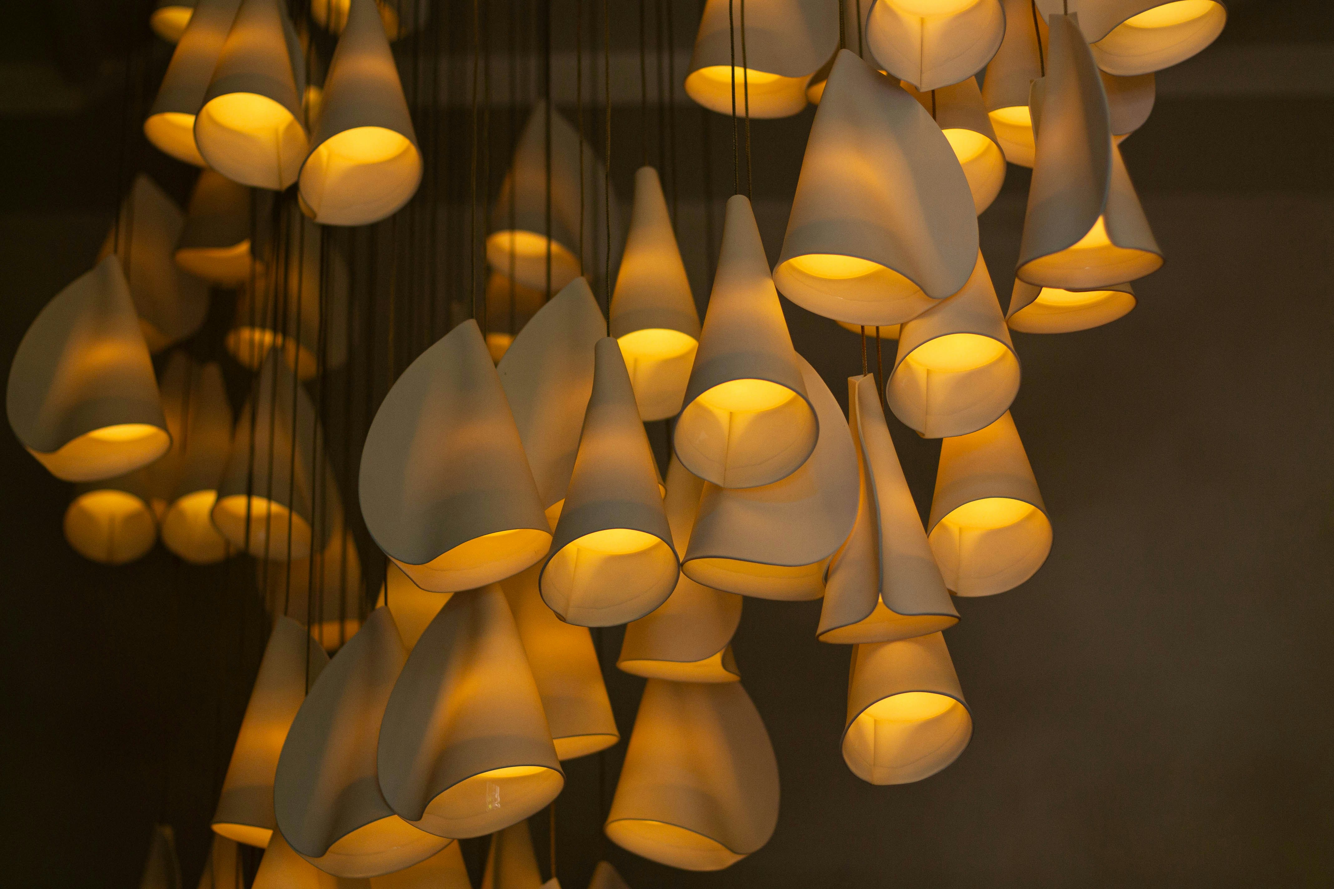 modern elegant chandelier and lights