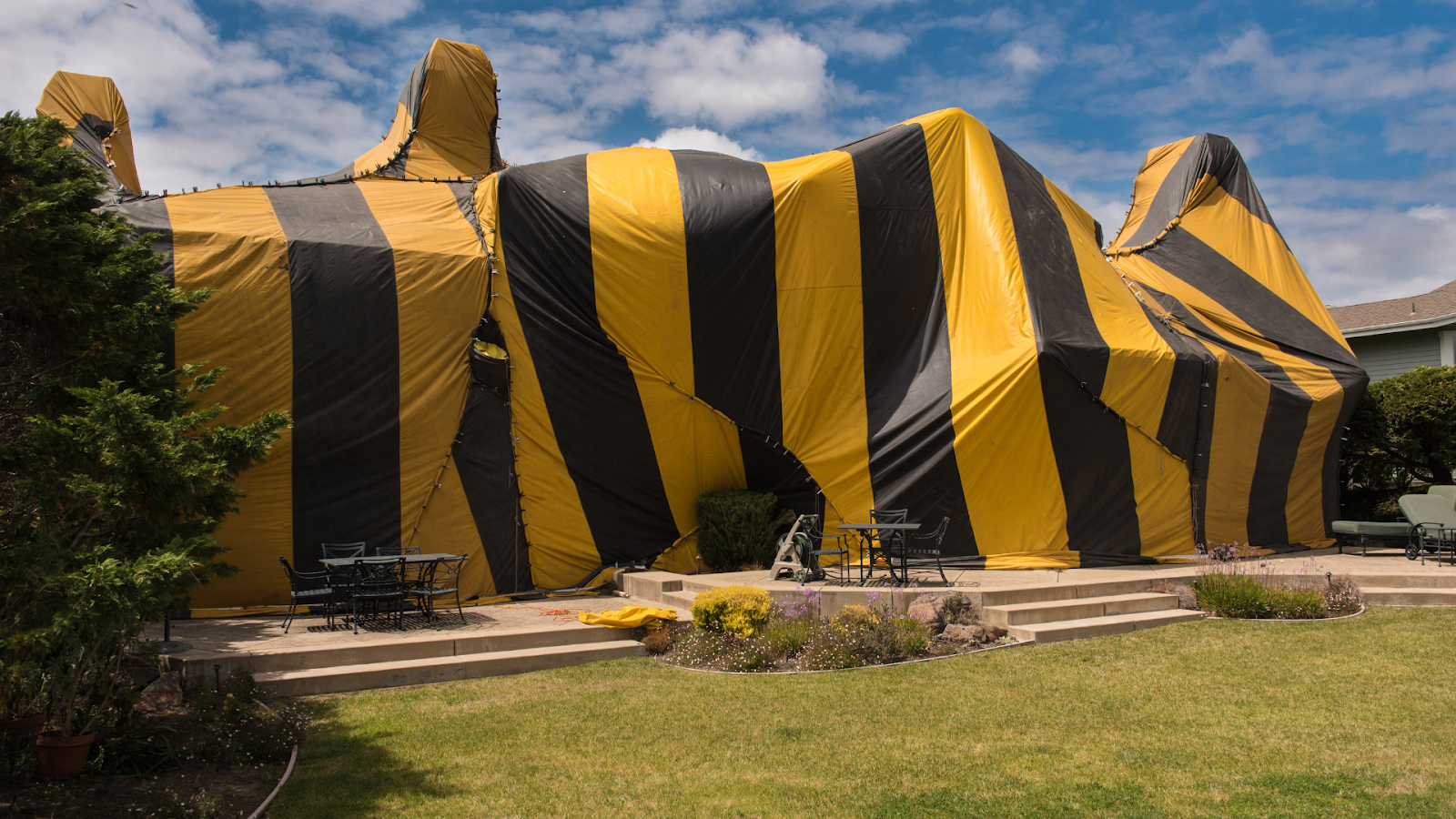 Termites Control