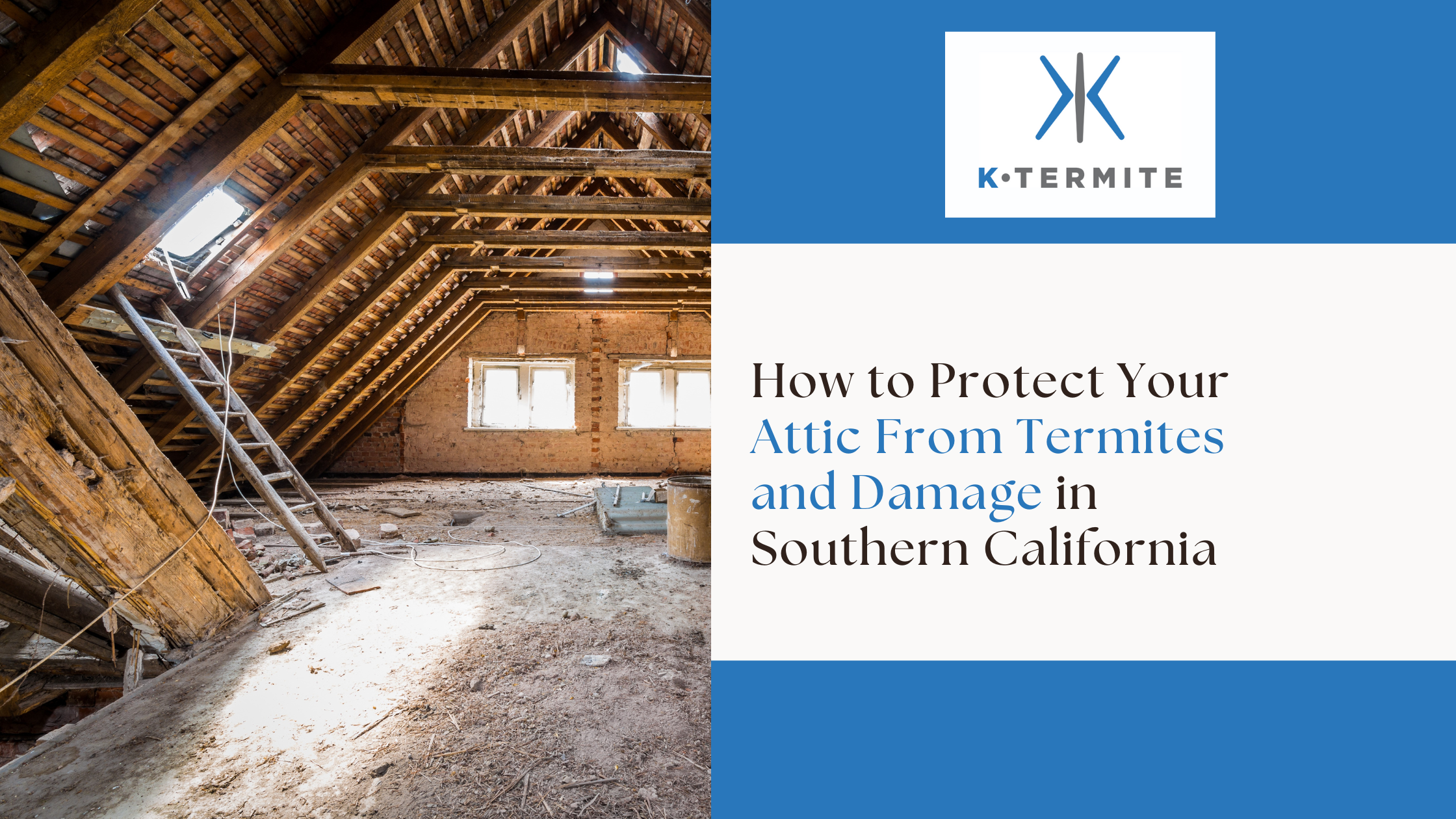 Protect Your Attic From Termites