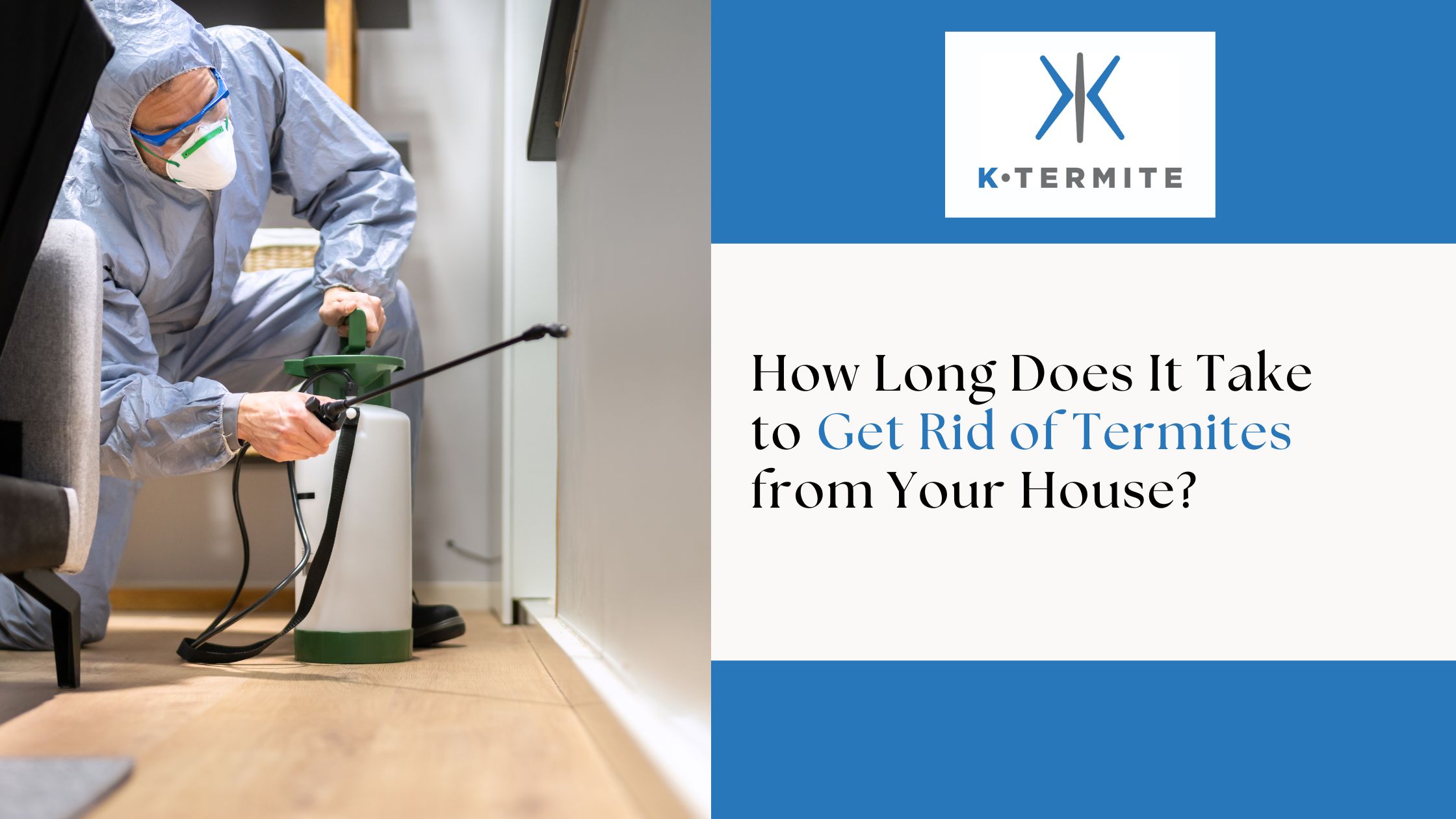 Get Rid of Termites From Your House
