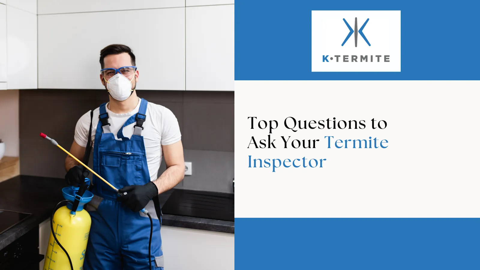 Questions to Ask Termite Inspector