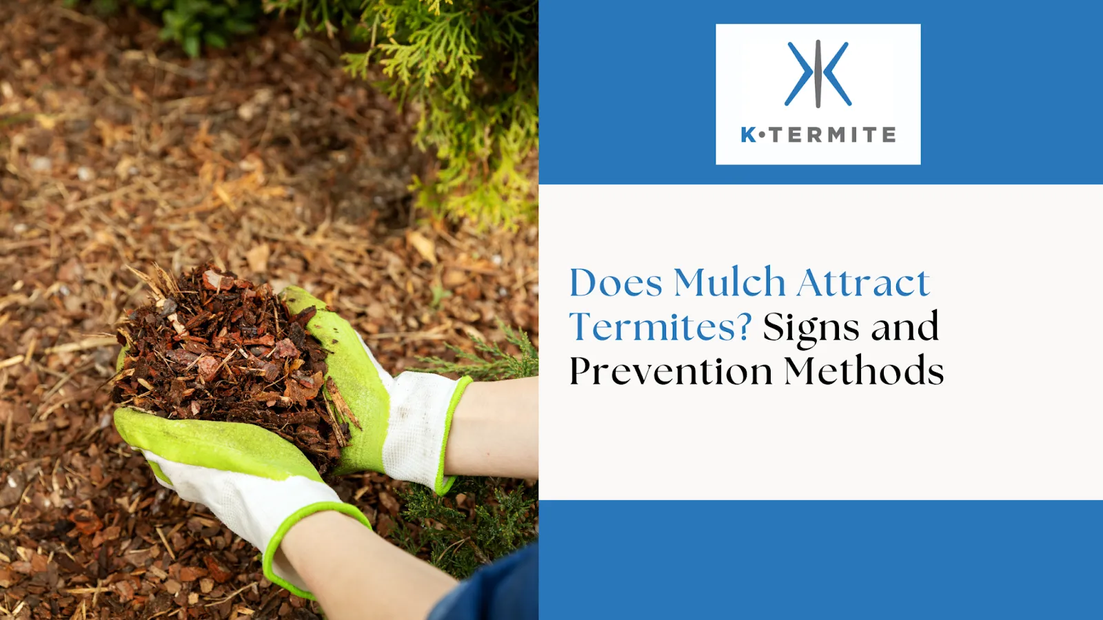 Mulch Attract Termites