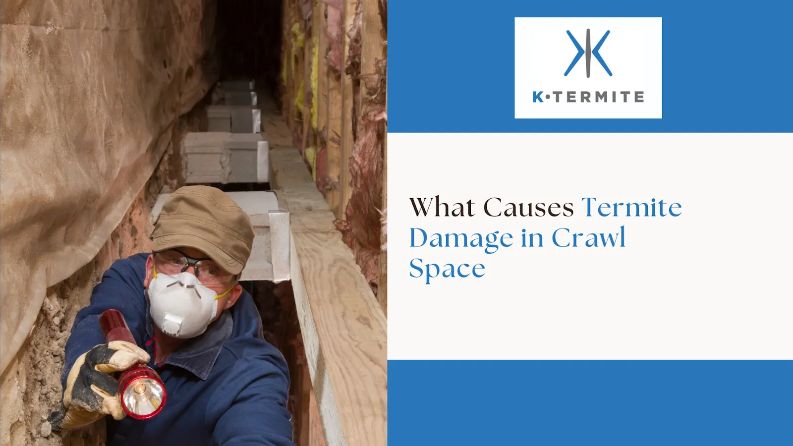 Termite Damage