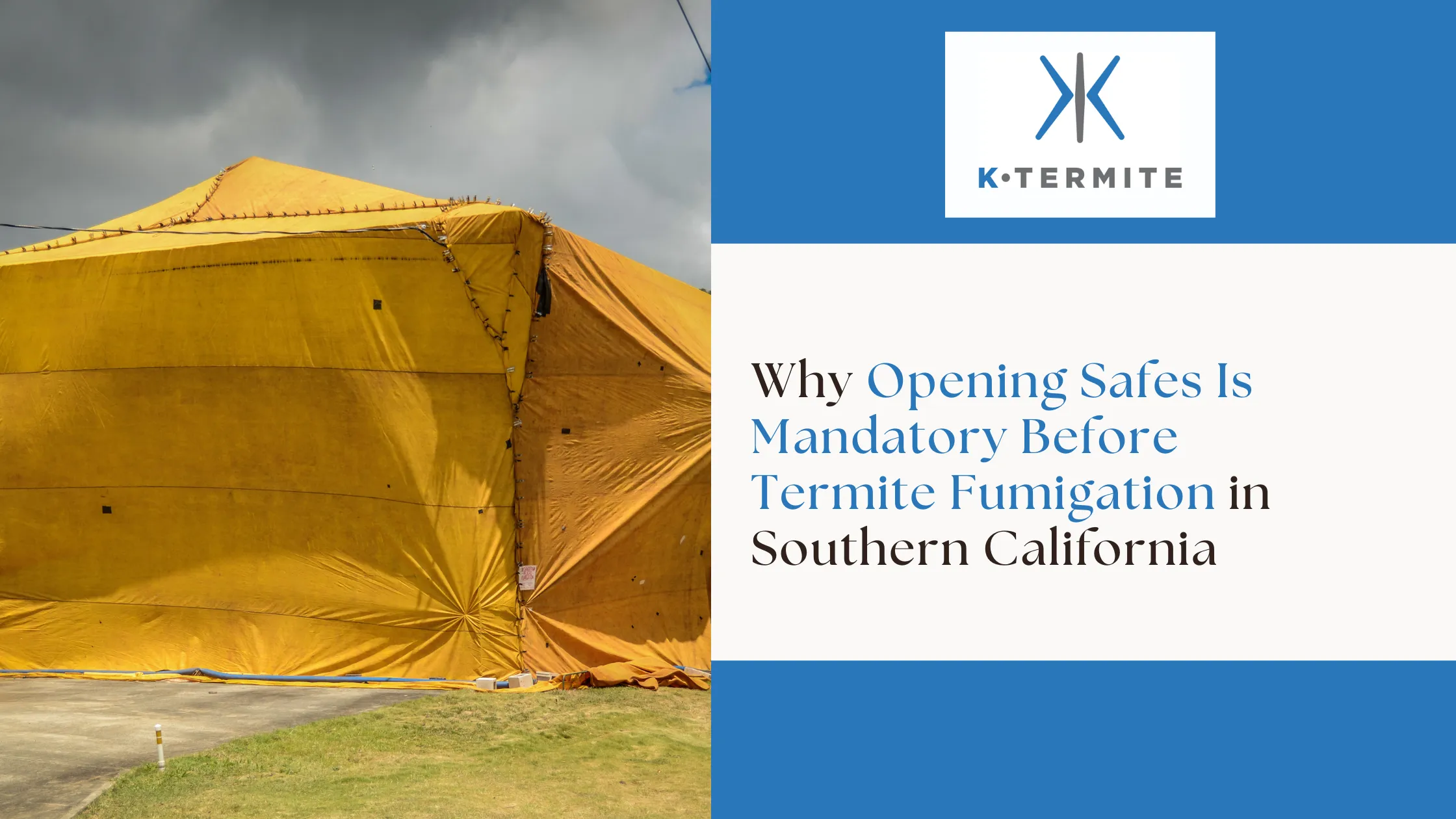 Termite Fumigation in Southern California