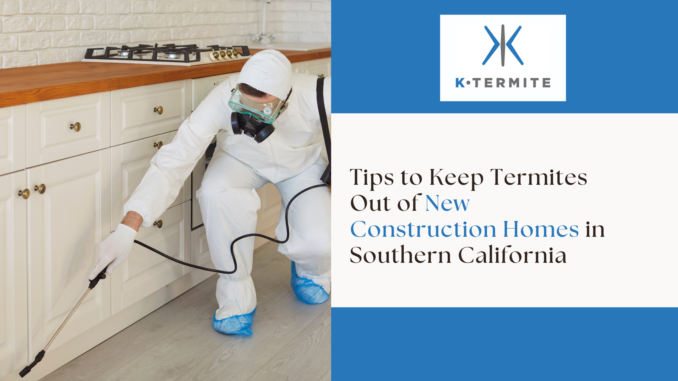 termite control new construction