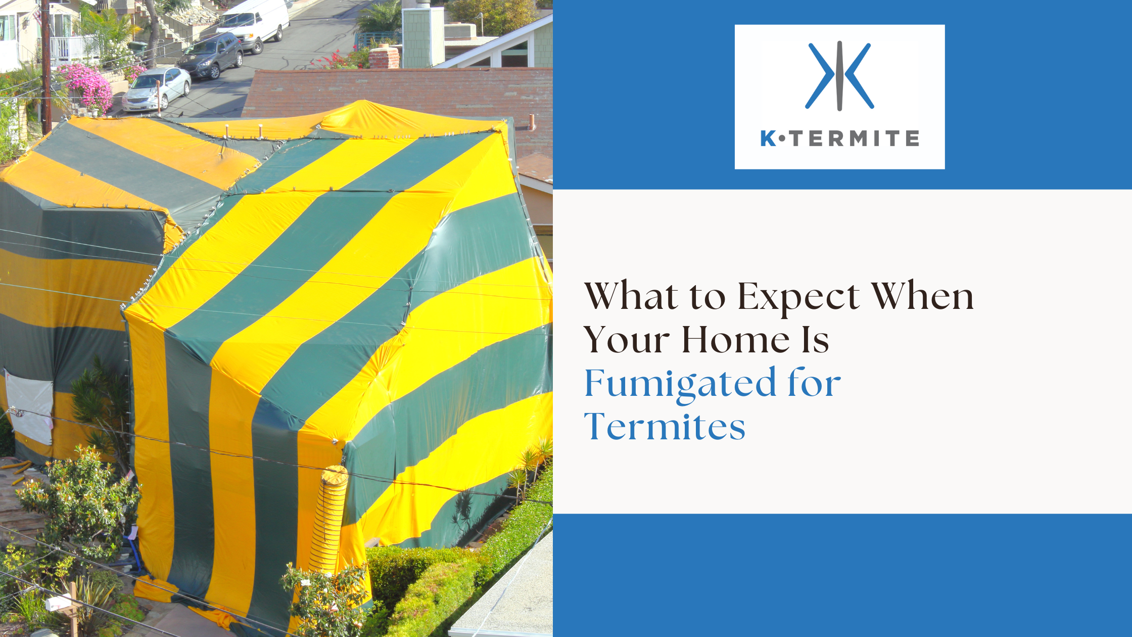 Fumigated for Termites