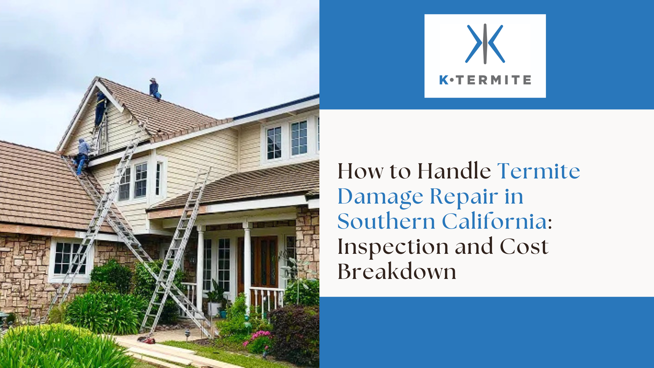 Termite Damage Repair