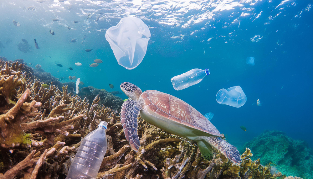Great Pacific Garbage Patch
