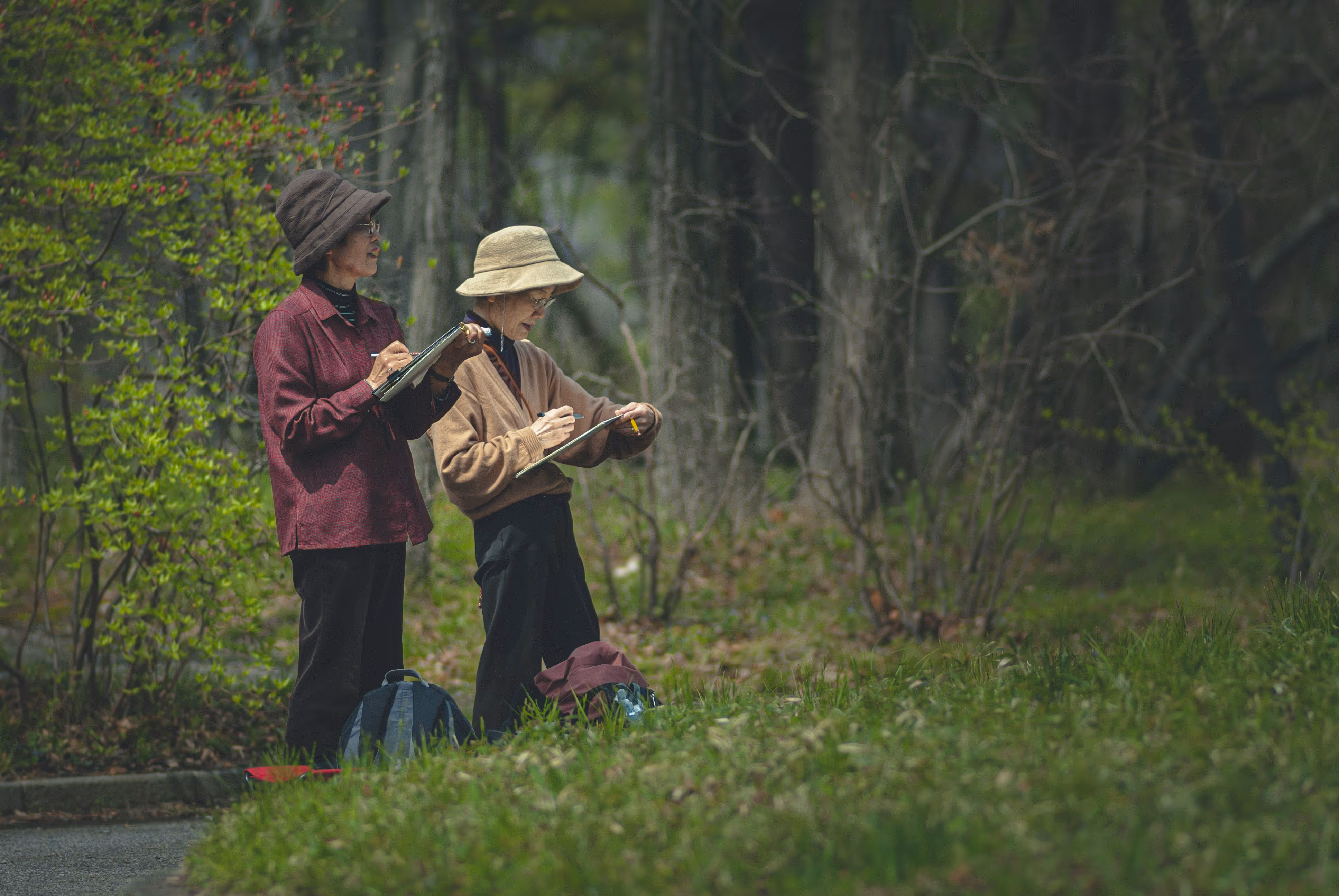 Image de deux personnes en train de juger un paysage