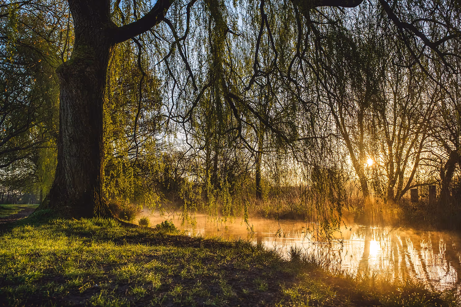 [background image] image of urban community scene (for a humanitarian aid nonprofit)