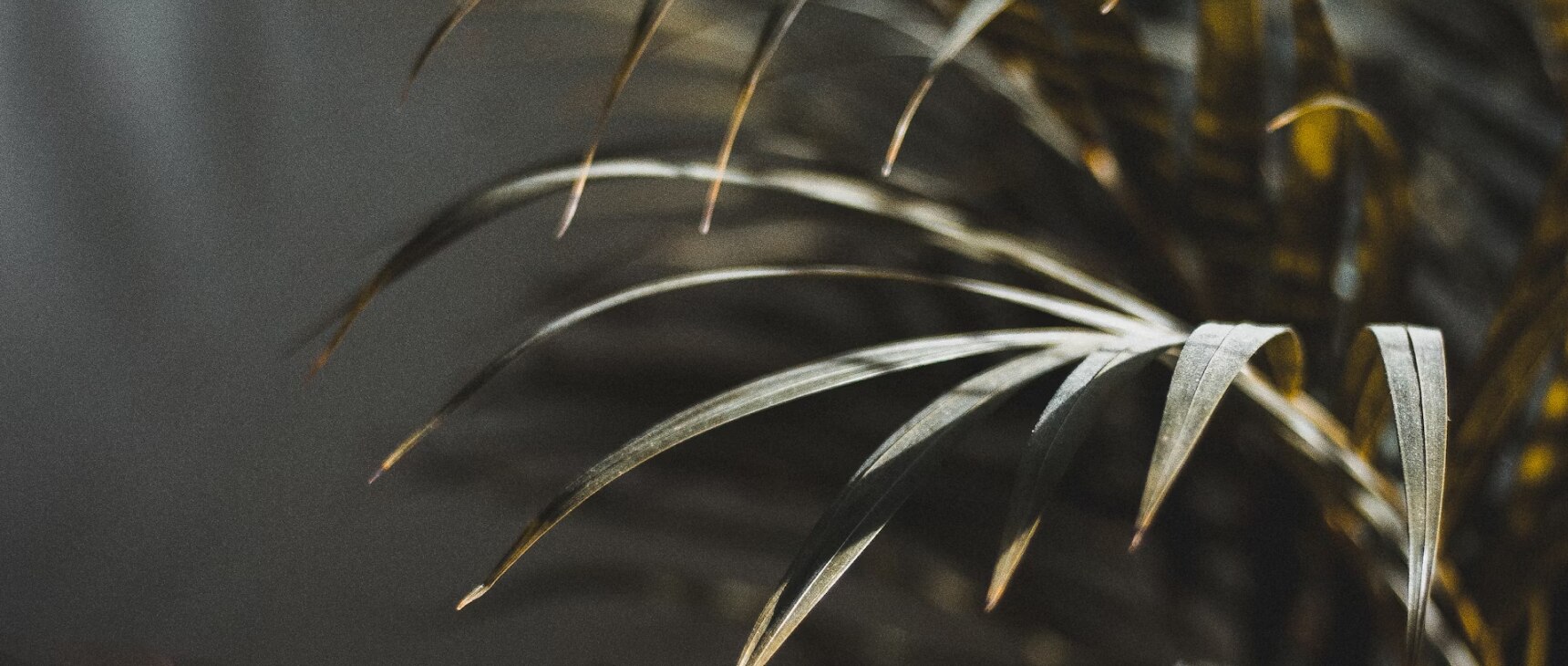 counter slider image