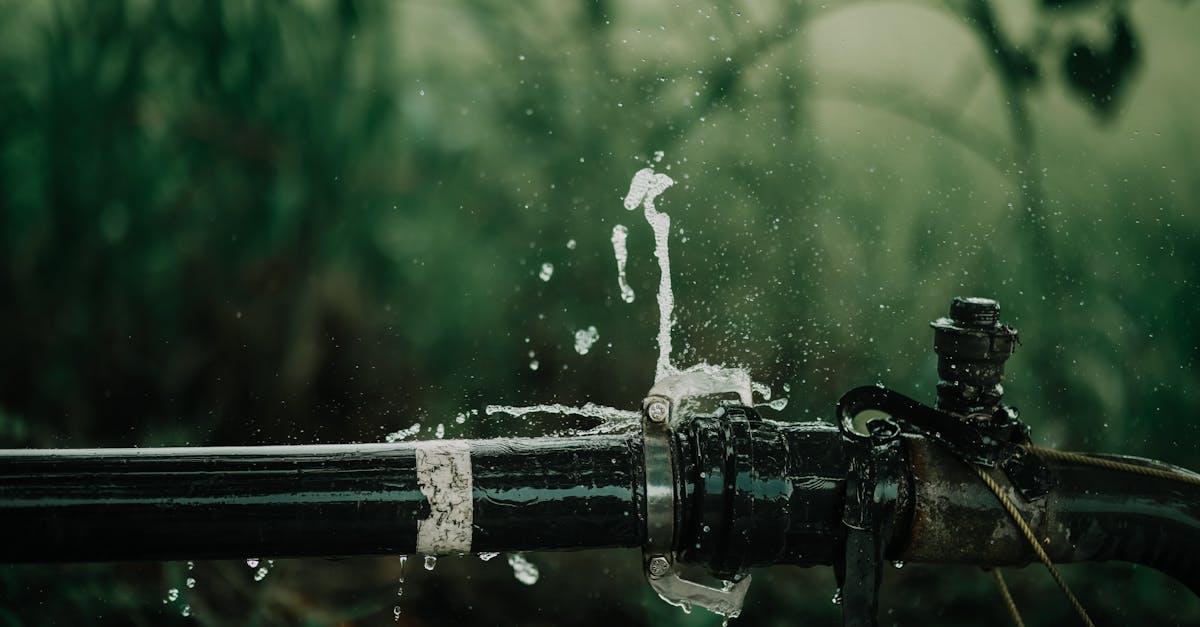 A detailed view of a leaking water pipe in a lush green garden setting.
