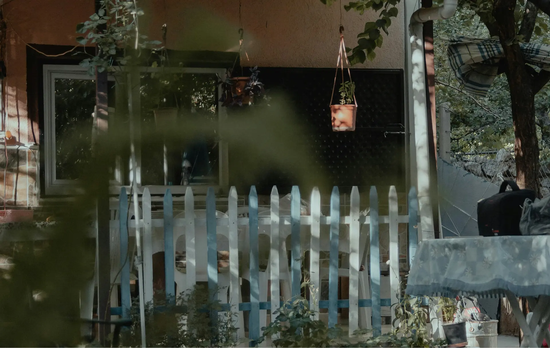 [background image]
