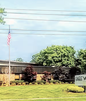 Eagle Technologies Founded