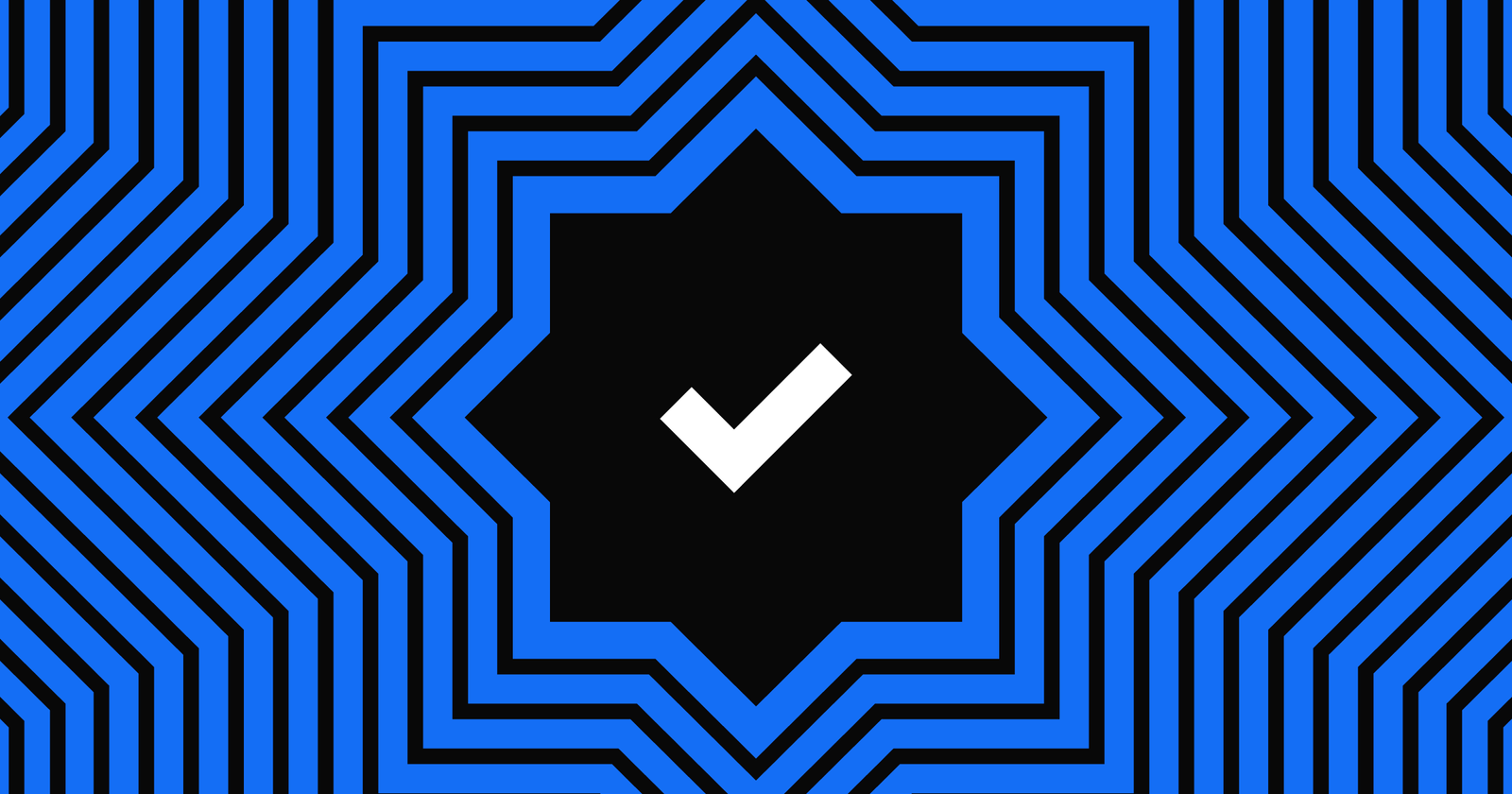 Webflow Partners Check