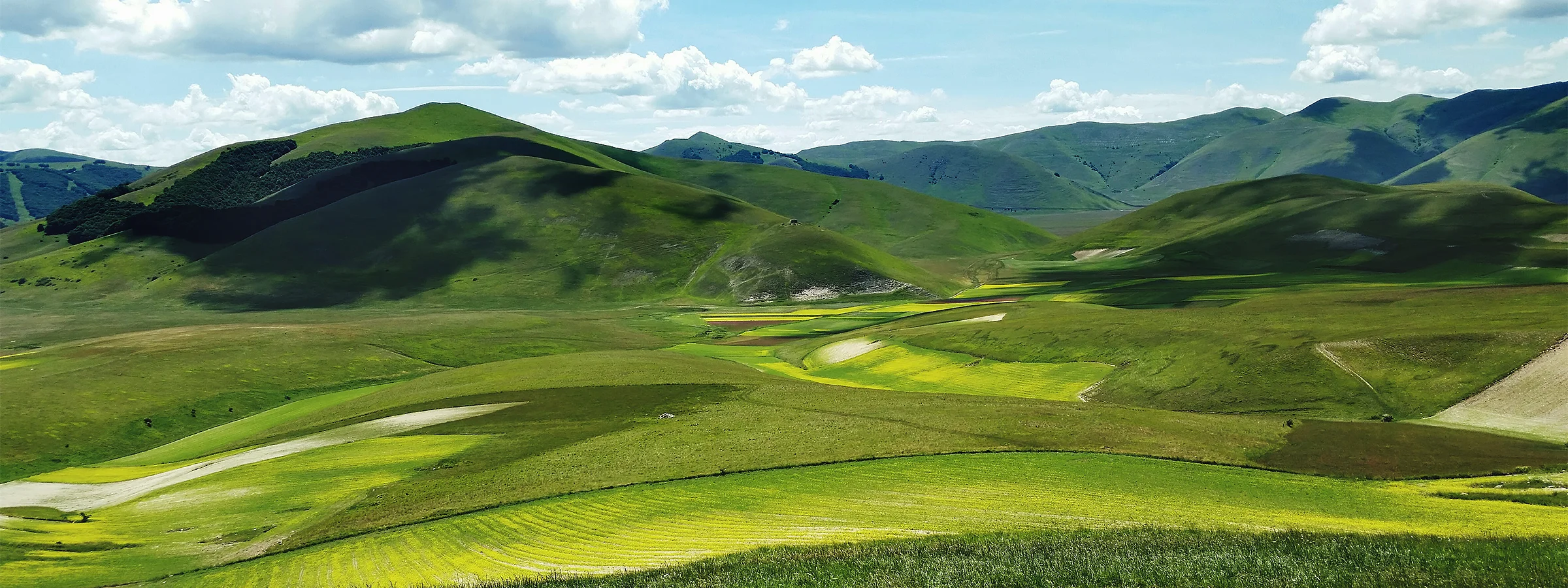 Bakcground Image