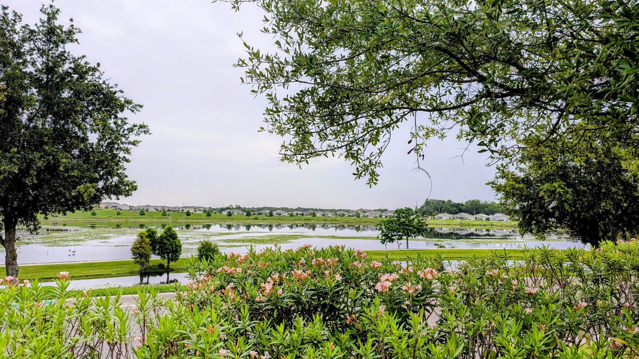 @michaelalfredophoto